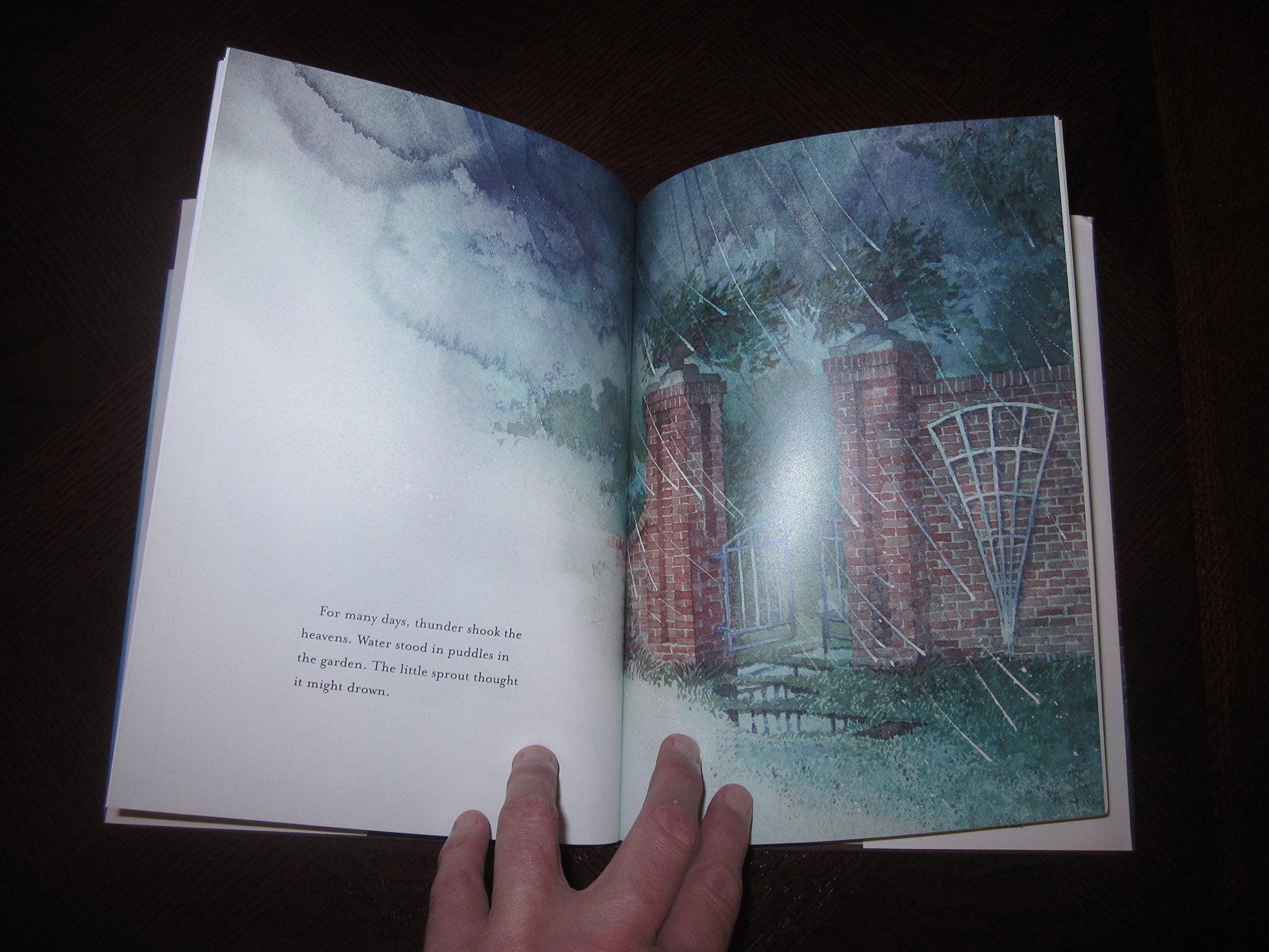 The Trellis and the Seed: A Book of Encouragement for All Ages used book depot
