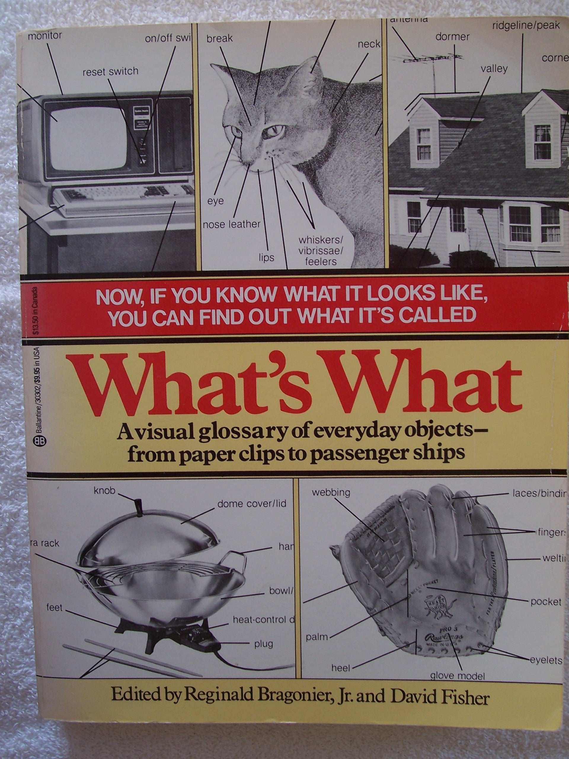 What's What: A Visual Glossary of the Physical World used book depot