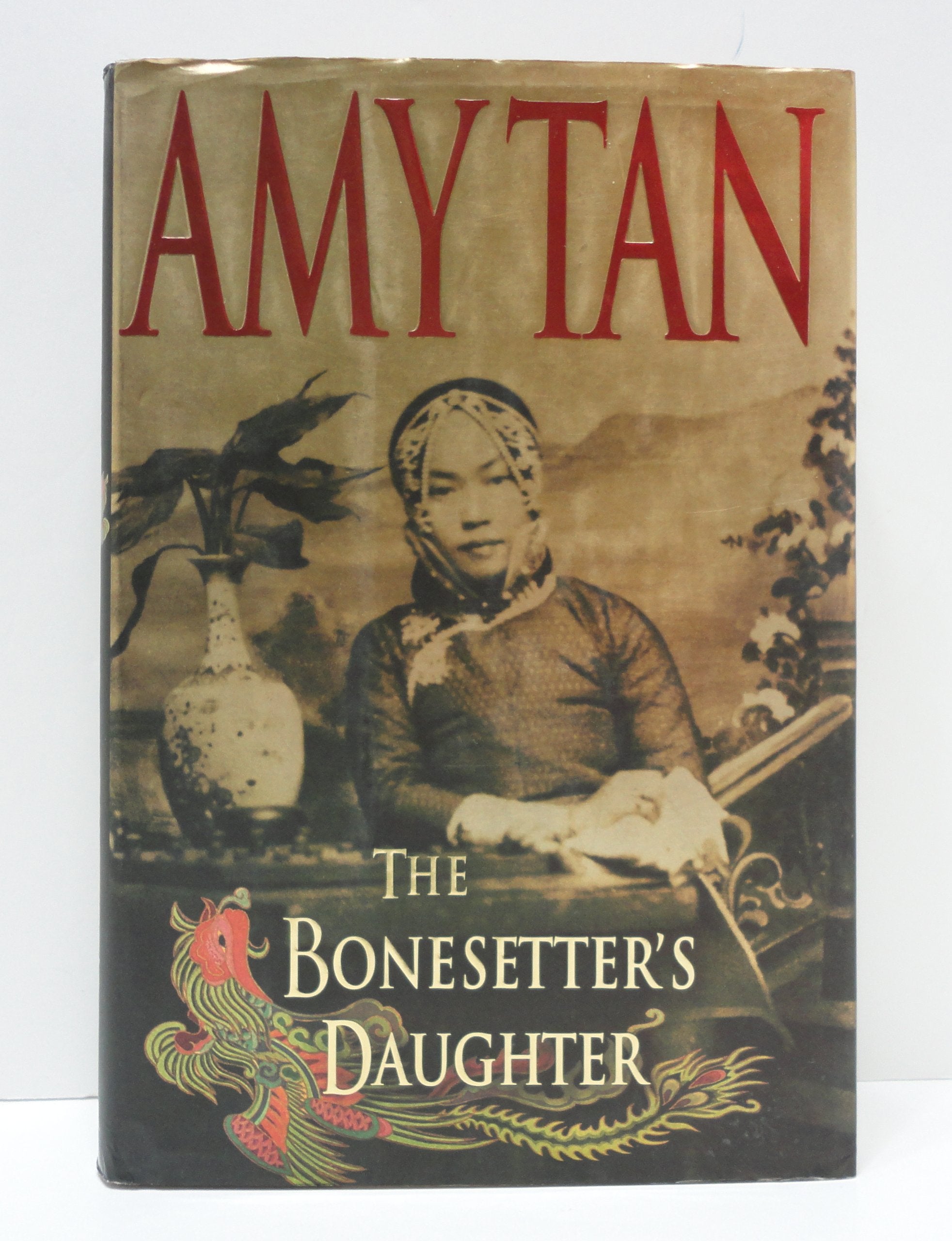 The Bonesetter's Daughter used book depot