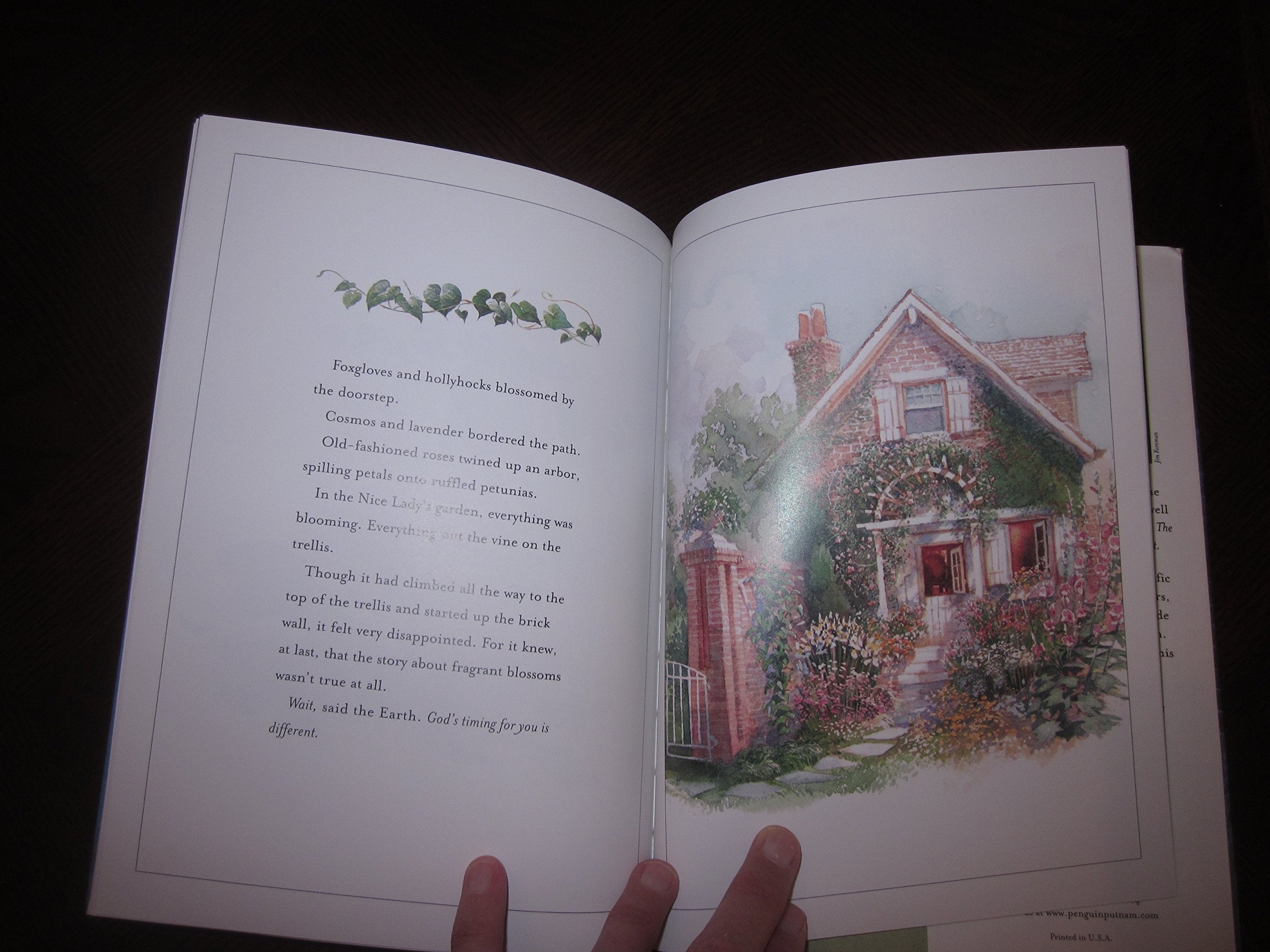 The Trellis and the Seed: A Book of Encouragement for All Ages used book depot