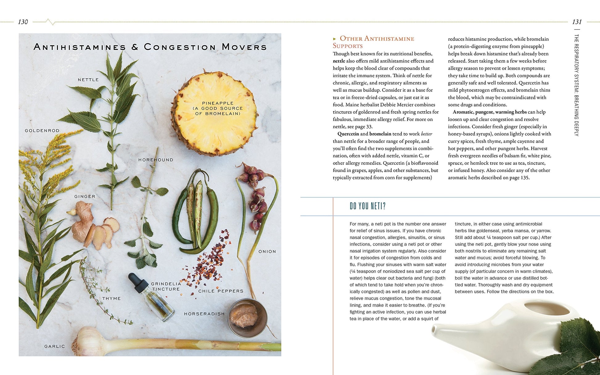 Body into Balance: An Herbal Guide to Holistic Self-Care used book depot