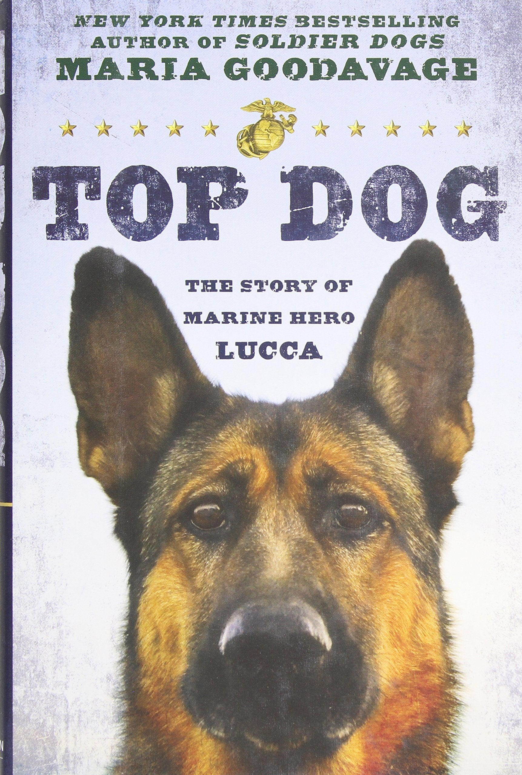Top Dog: The Story of Marine Hero Lucca used book depot