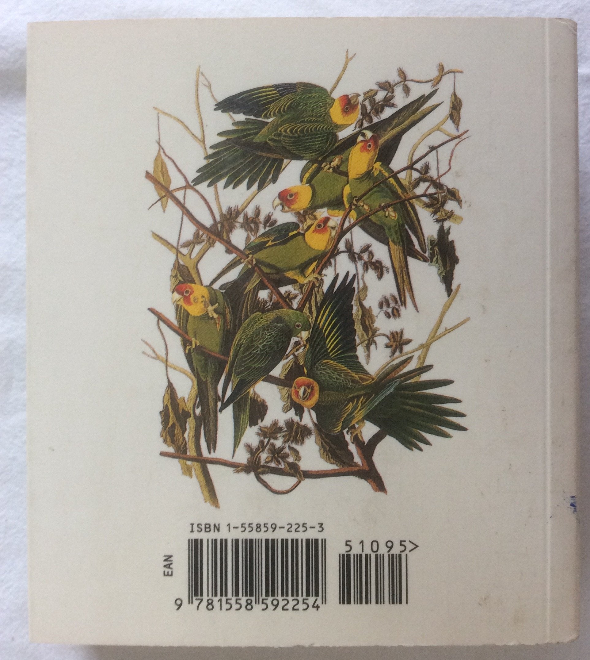Audubon's Birds of America : The Audubon Society Baby Elephant Folio (Tiny Folios) used book depot