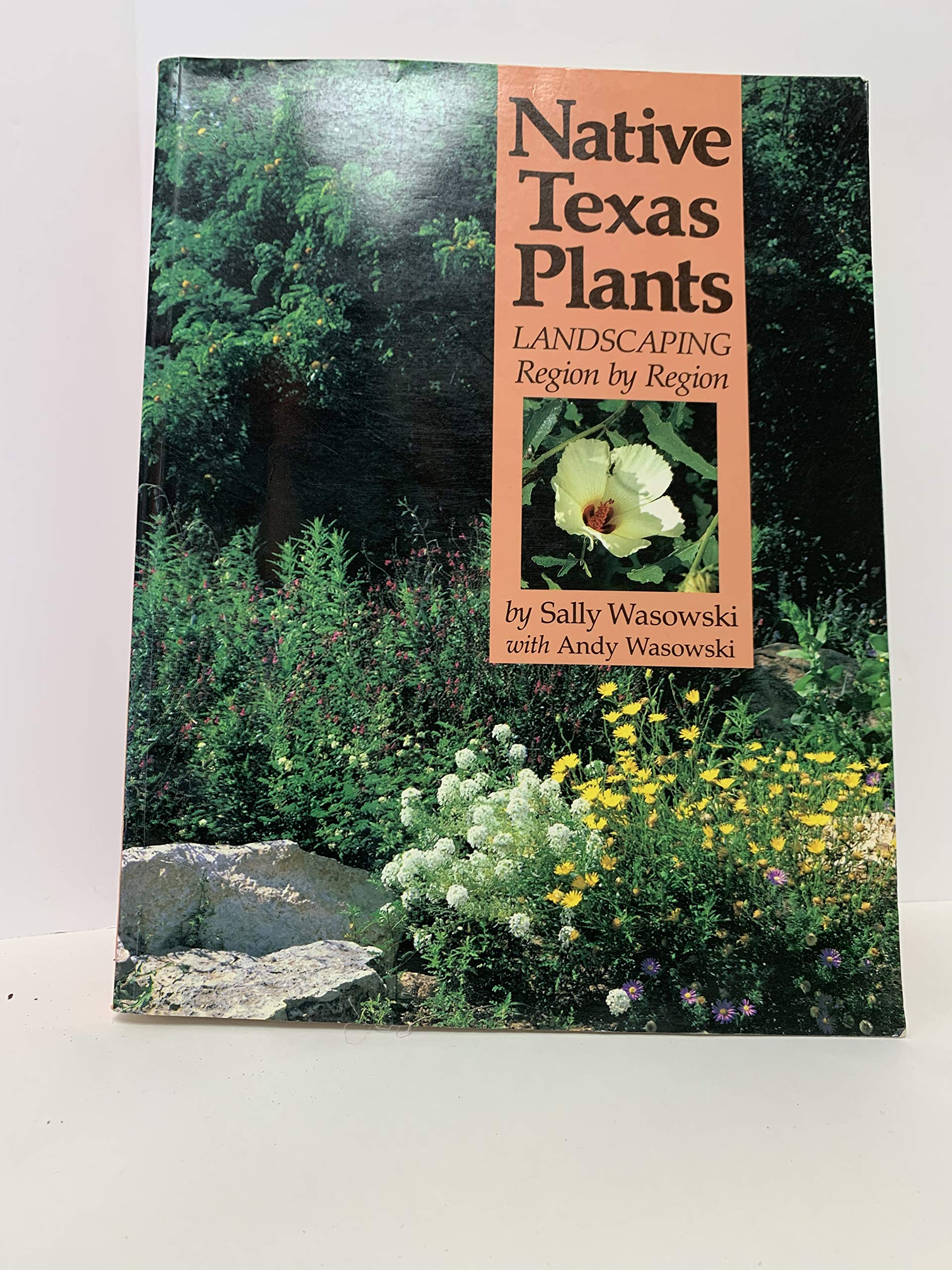 Native Texas Plants: Landscaping Region by Region used book depot