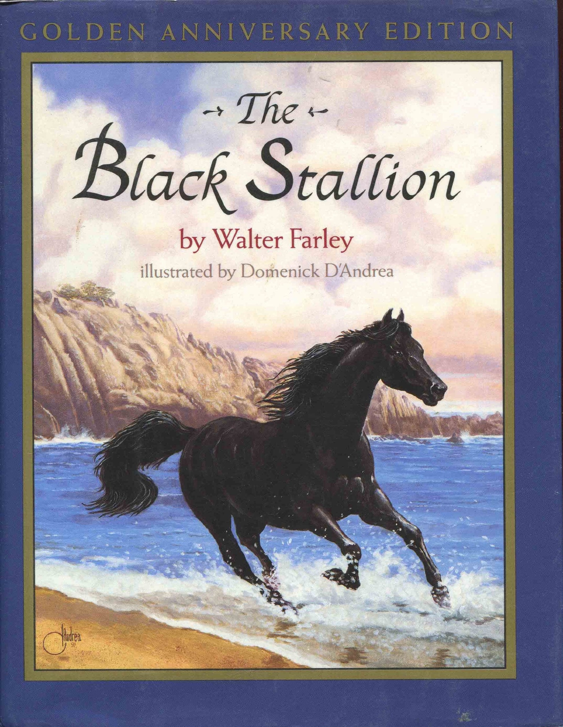 The Black Stallion used book depot
