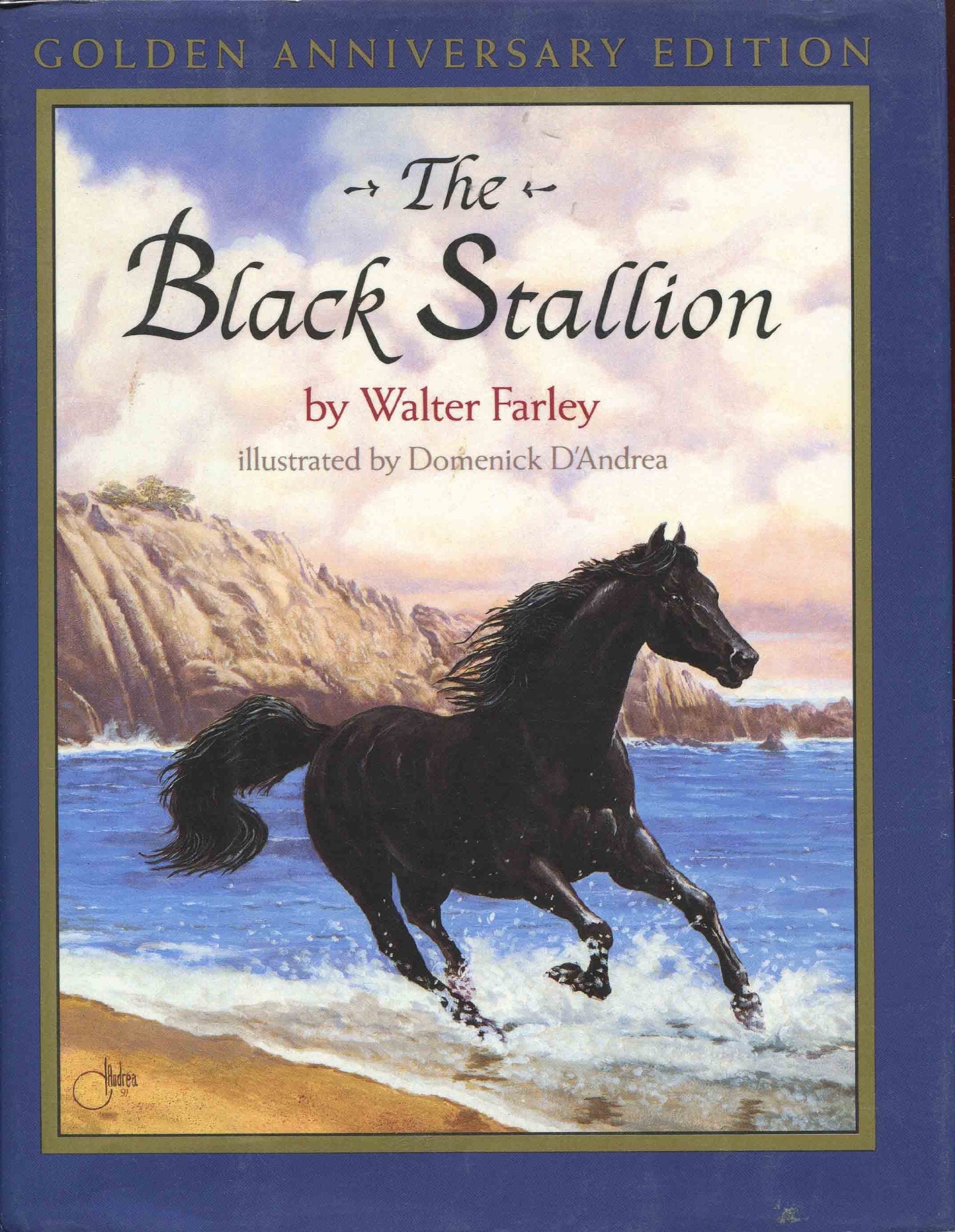 The Black Stallion used book depot