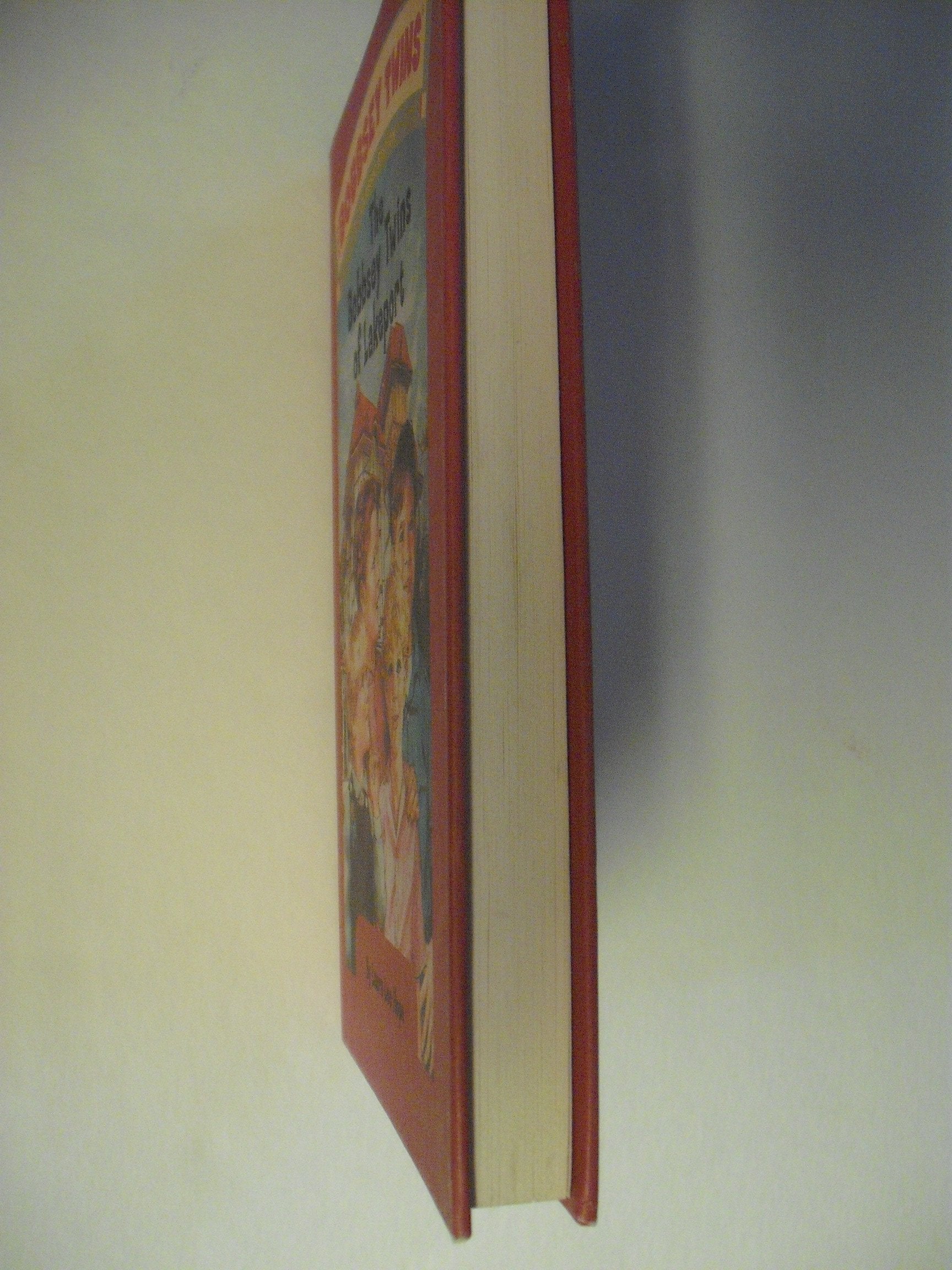 Bobbsey Twins 01: The Bobbsey Twins of Lakeport used book depot
