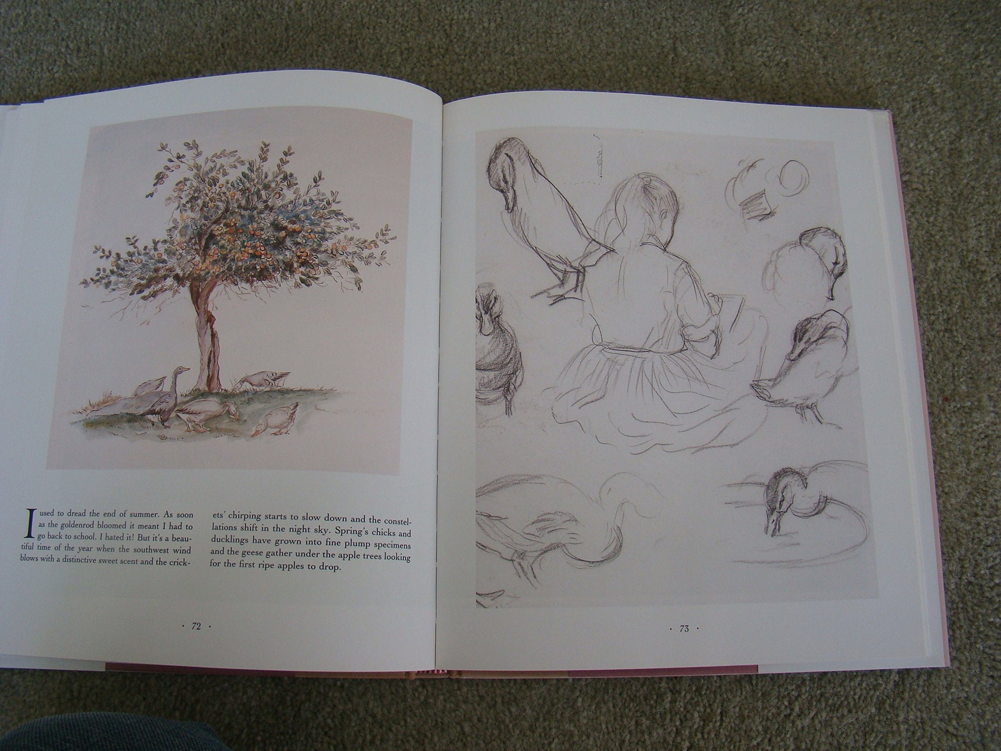The Private World of Tasha Tudor used book depot