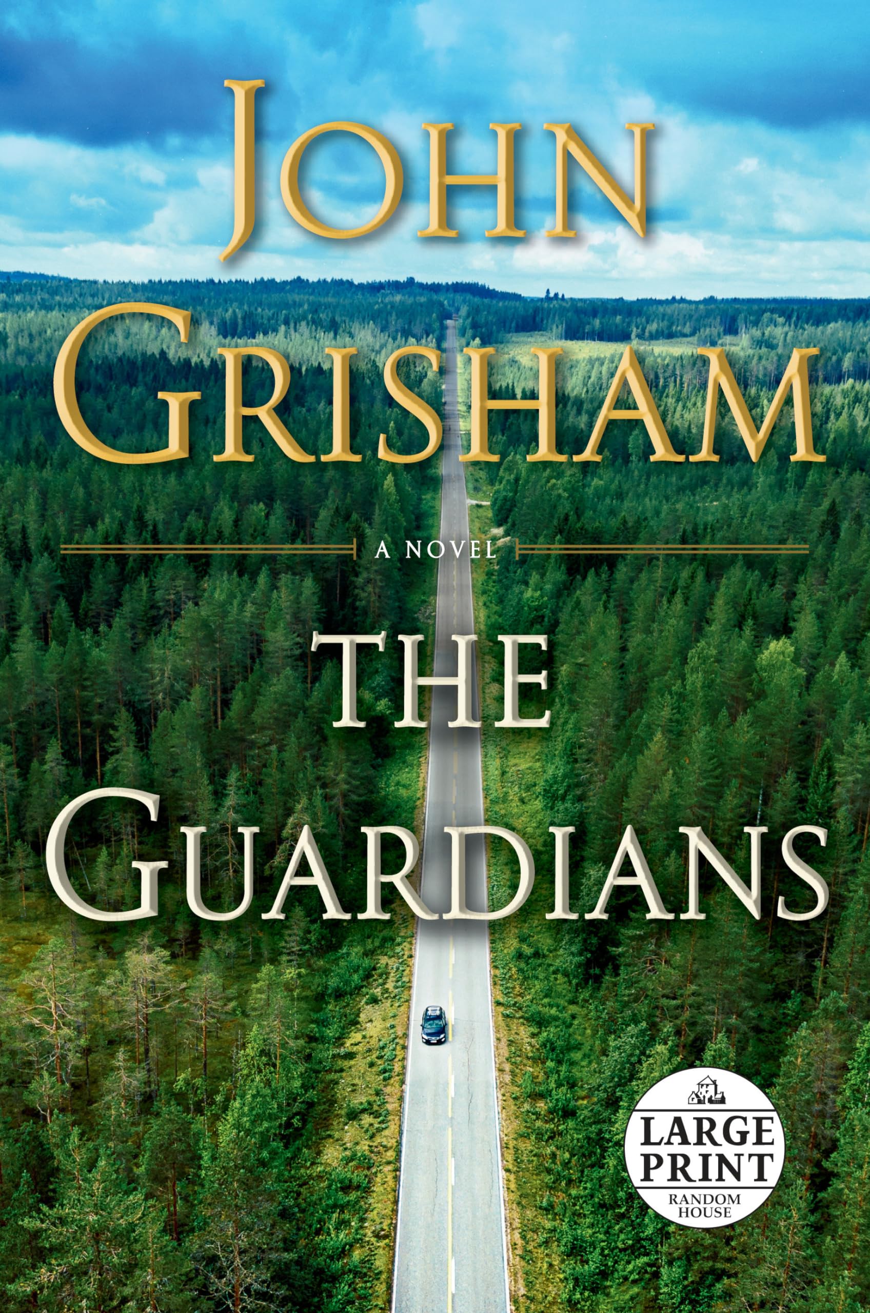 The Guardians: A Novel used book depot