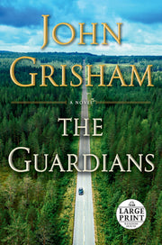 The Guardians: A Novel used book depot