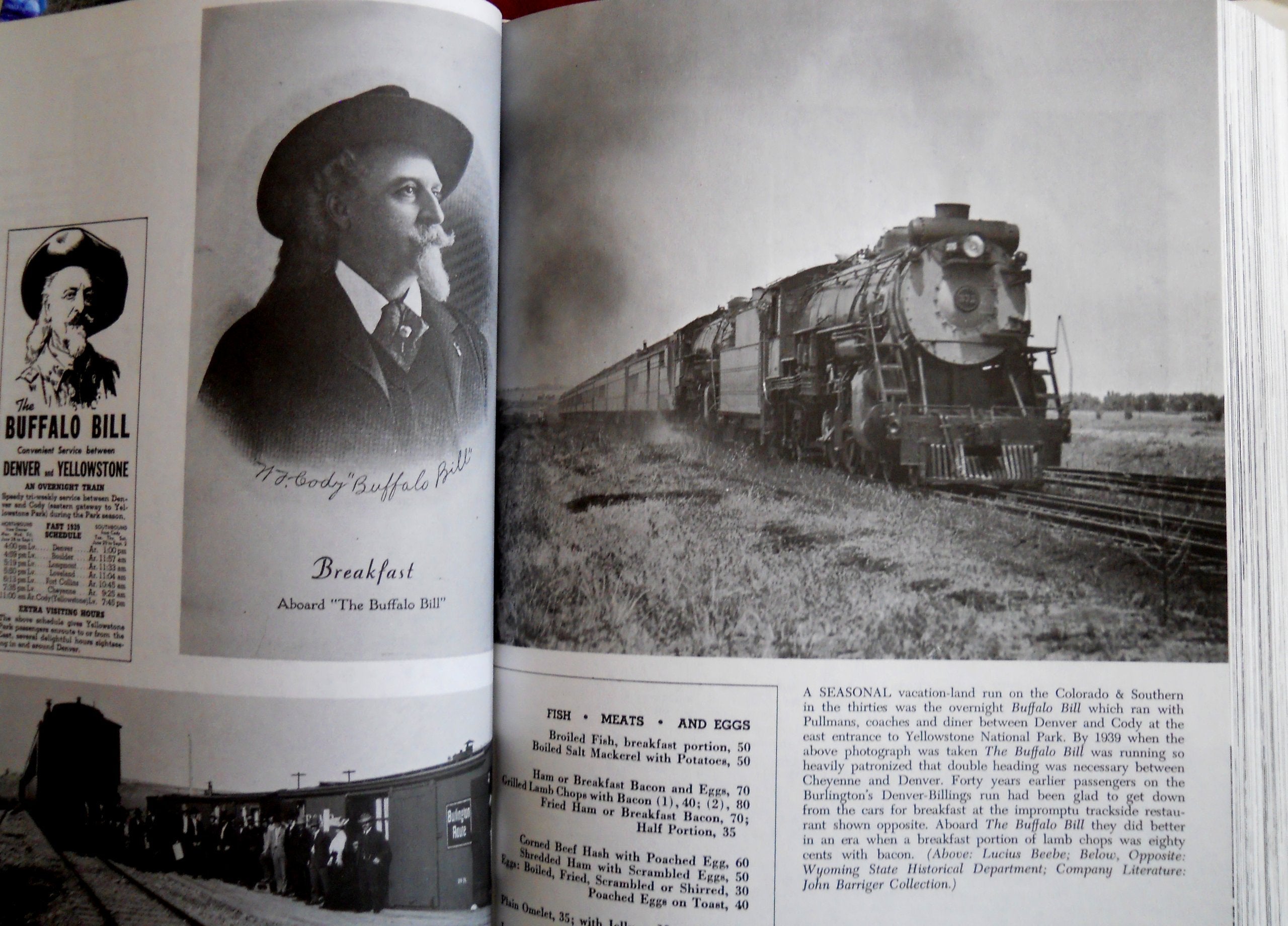 The Trains We Rode used book depot