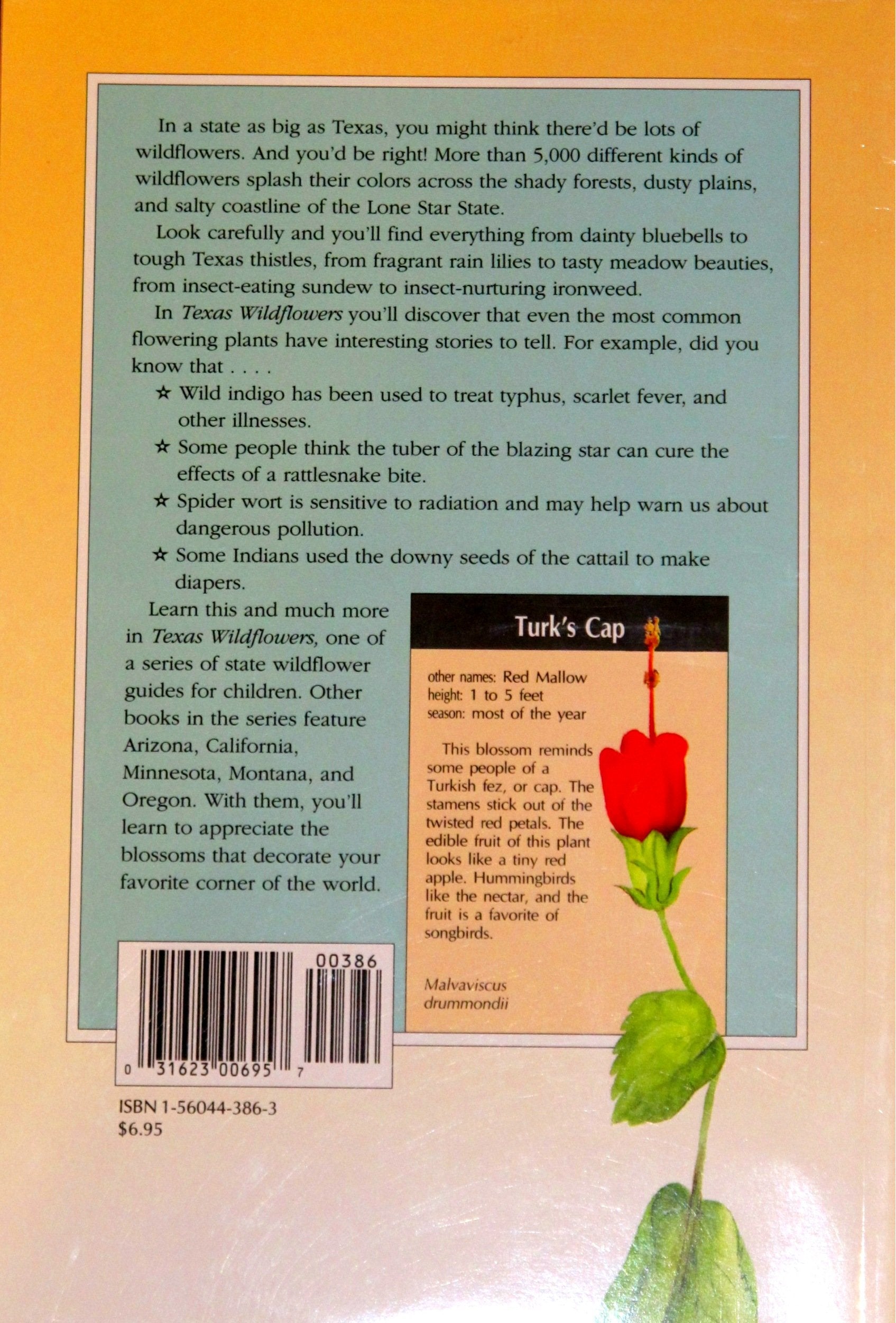 Texas Wildflowers: A Beginner's Field Guide to the State's Most Common Flowers (Interpreting the Great Outdoors) used book depot