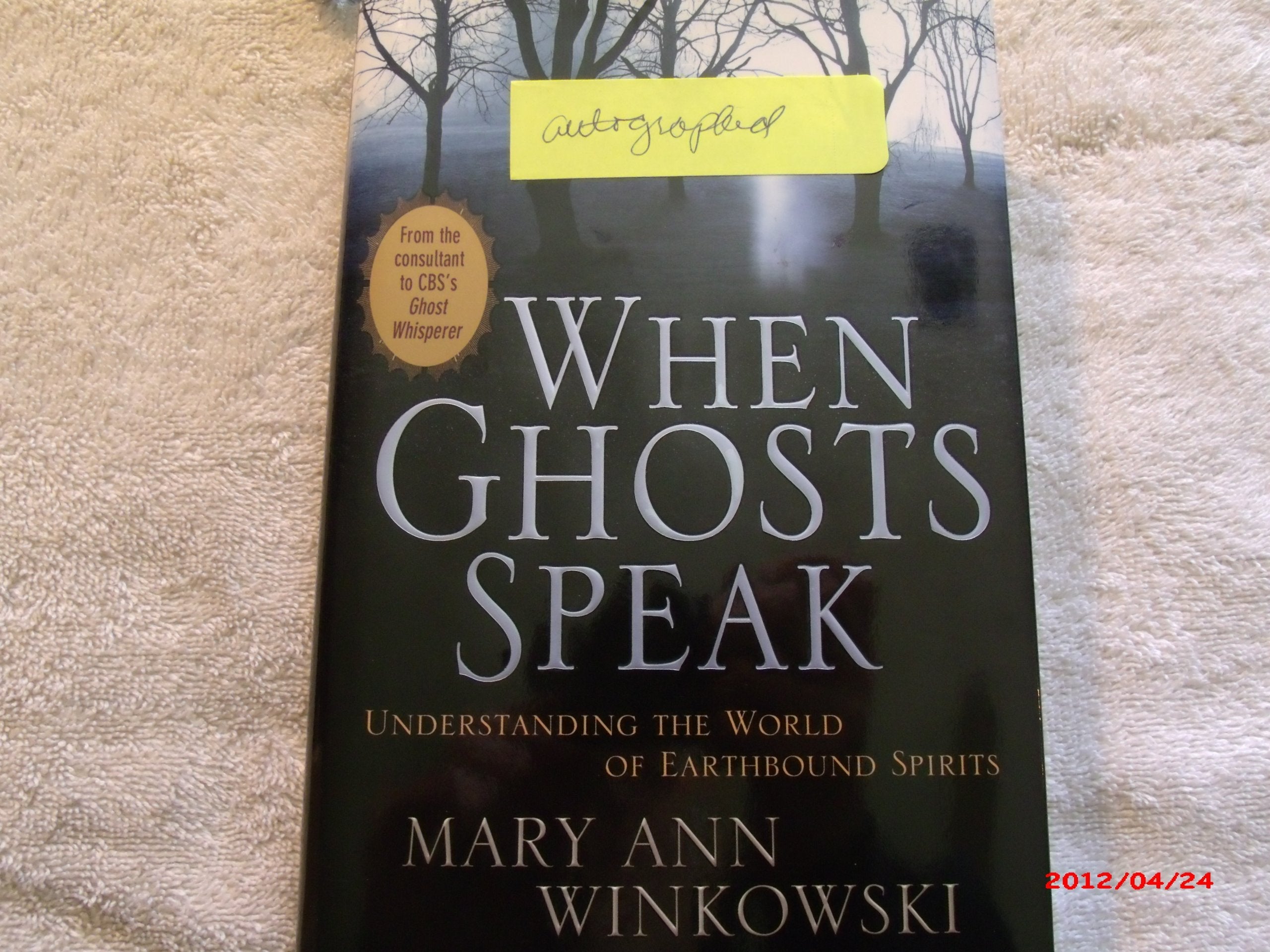 When Ghosts Speak: Understanding the World of Earthbound Spirits used book depot