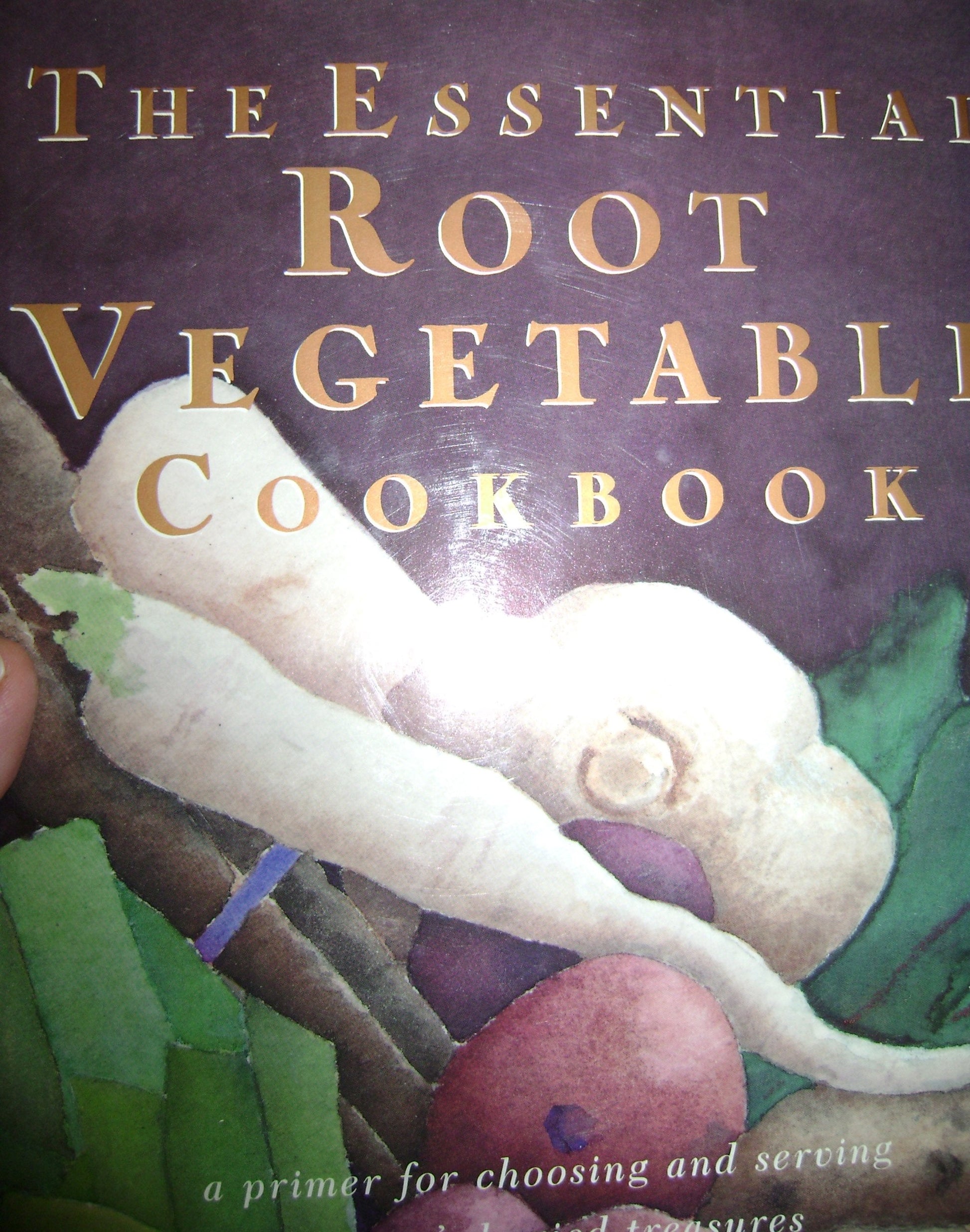 The Essential Root Vegetable Cookbook used book depot