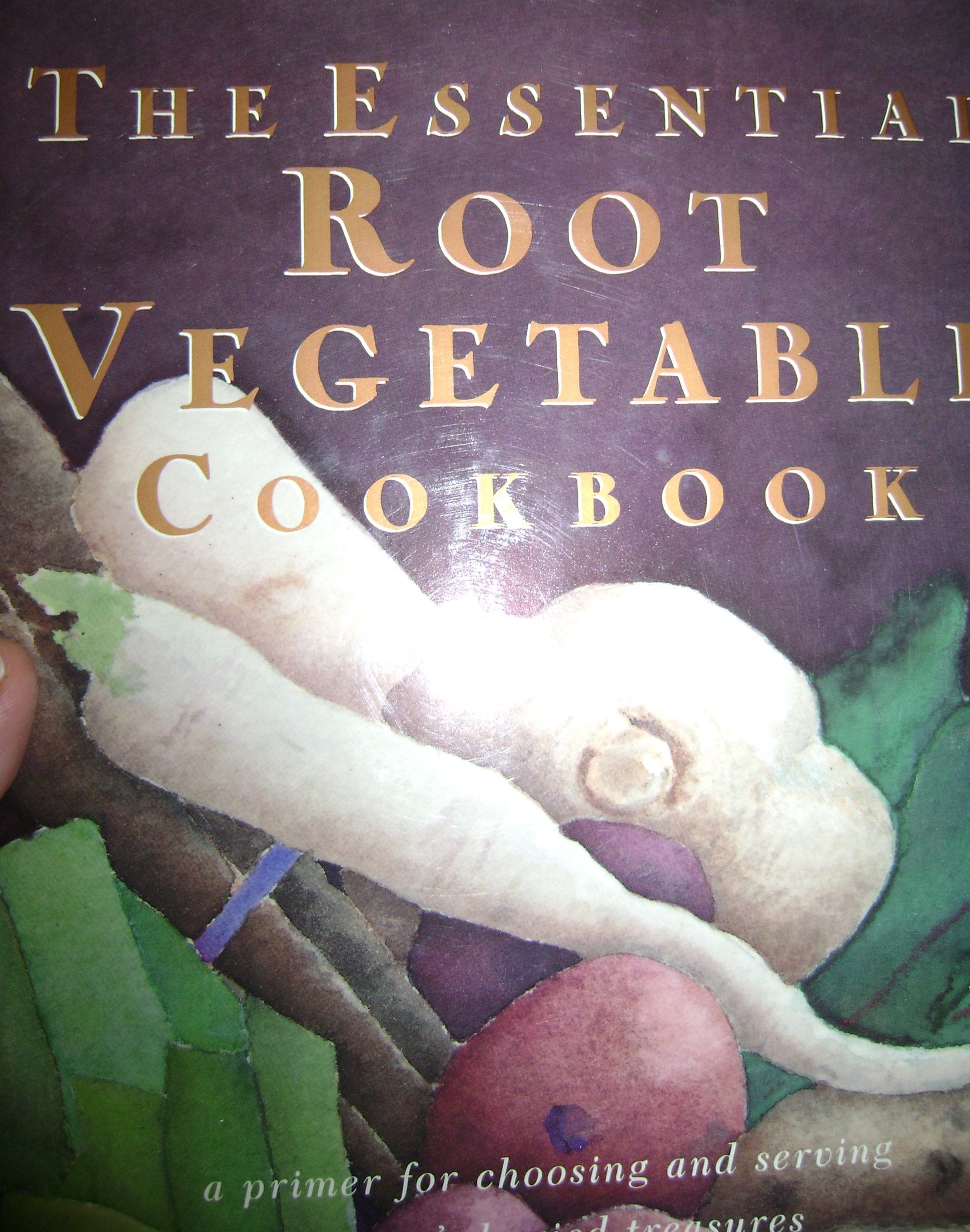 The Essential Root Vegetable Cookbook used book depot