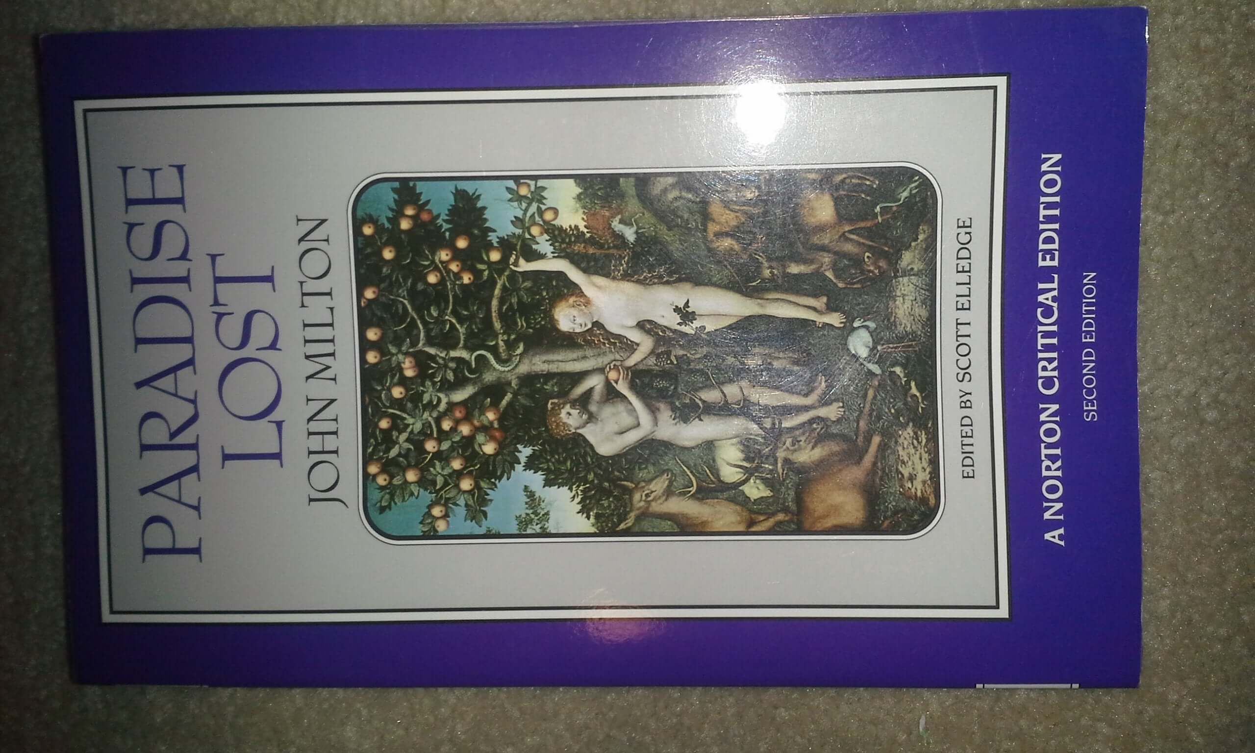Paradise Lost (Norton Critical Editions) used book depot
