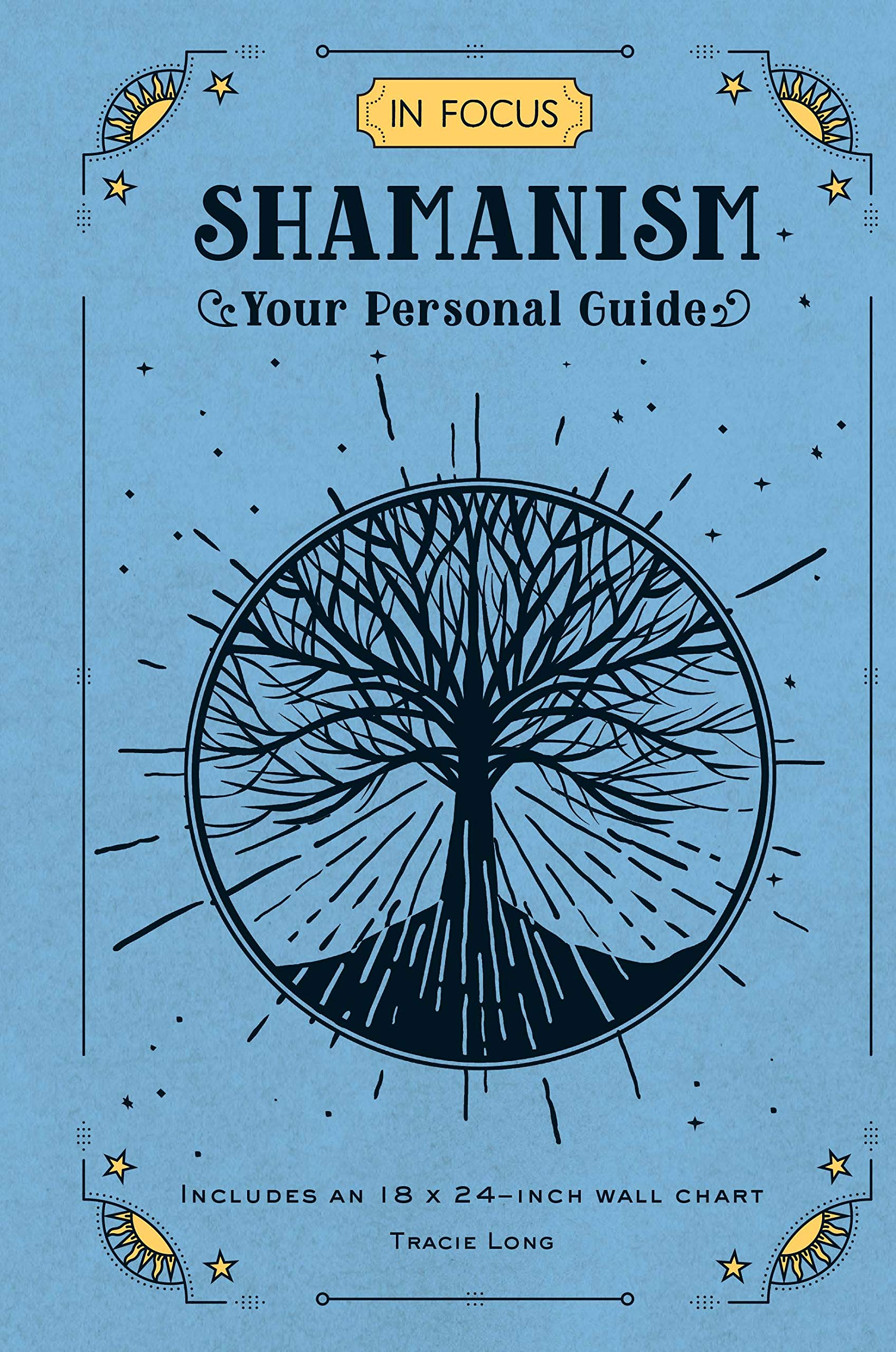 In Focus Shamanism: Your Personal Guide (Volume 13) (In Focus, 13) used book depot