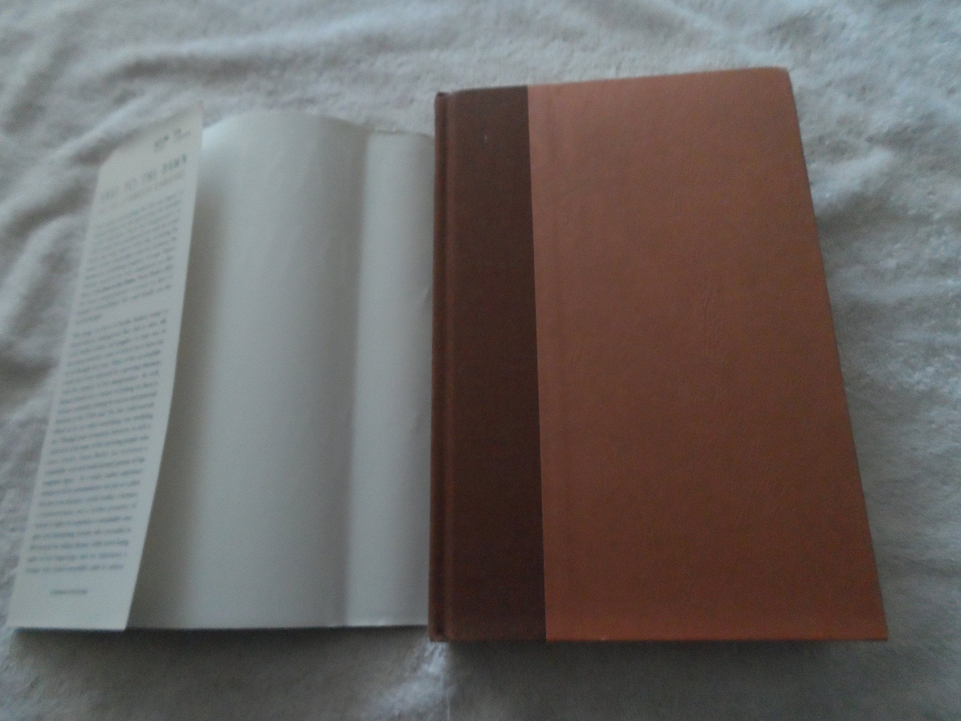 East To The Dawn: The Life Of Amelia Earhart used book depot