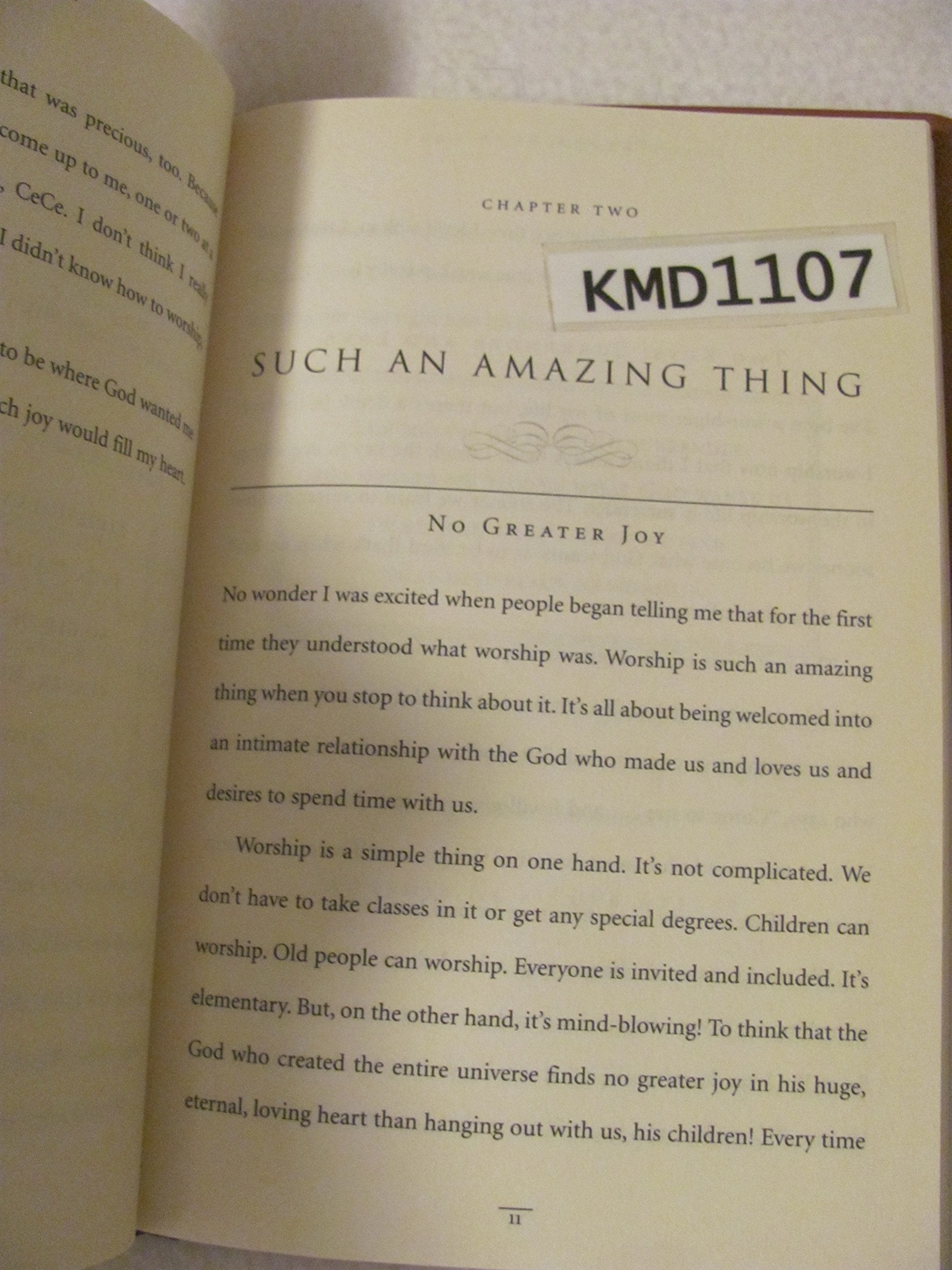 Throne Room: Ushered into the Presence of God used book depot