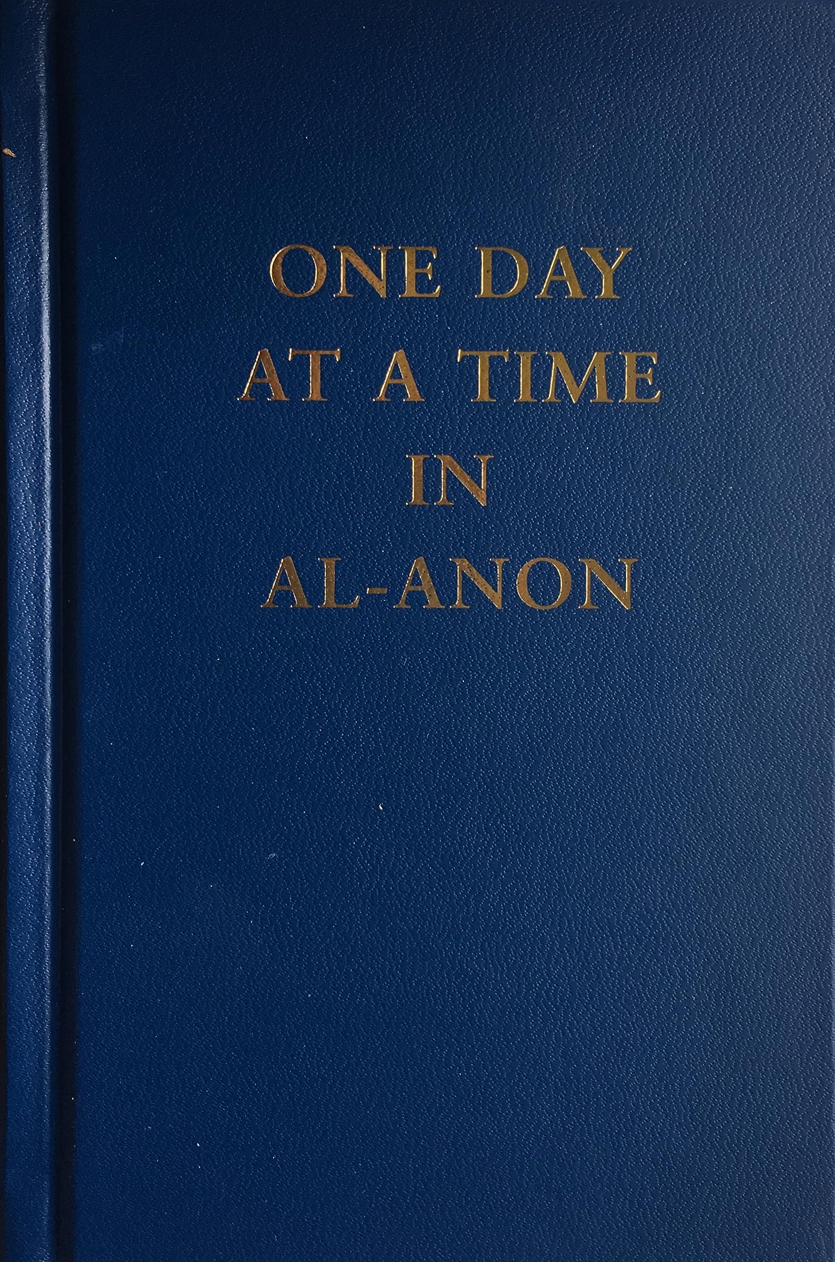 One Day at a Time In Al-Anon