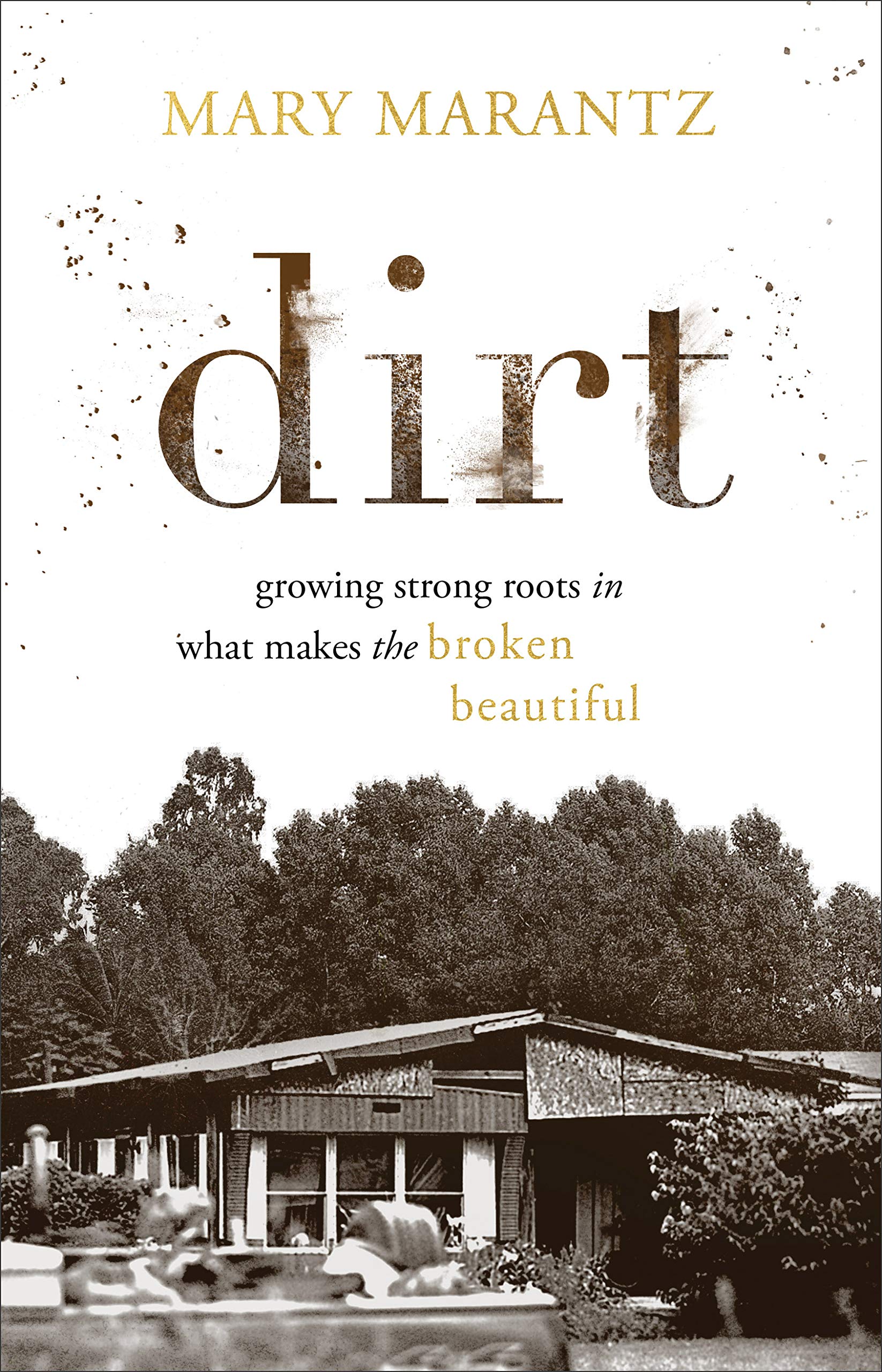 Dirt: Growing Strong Roots in What Makes the Broken Beautiful used book depot