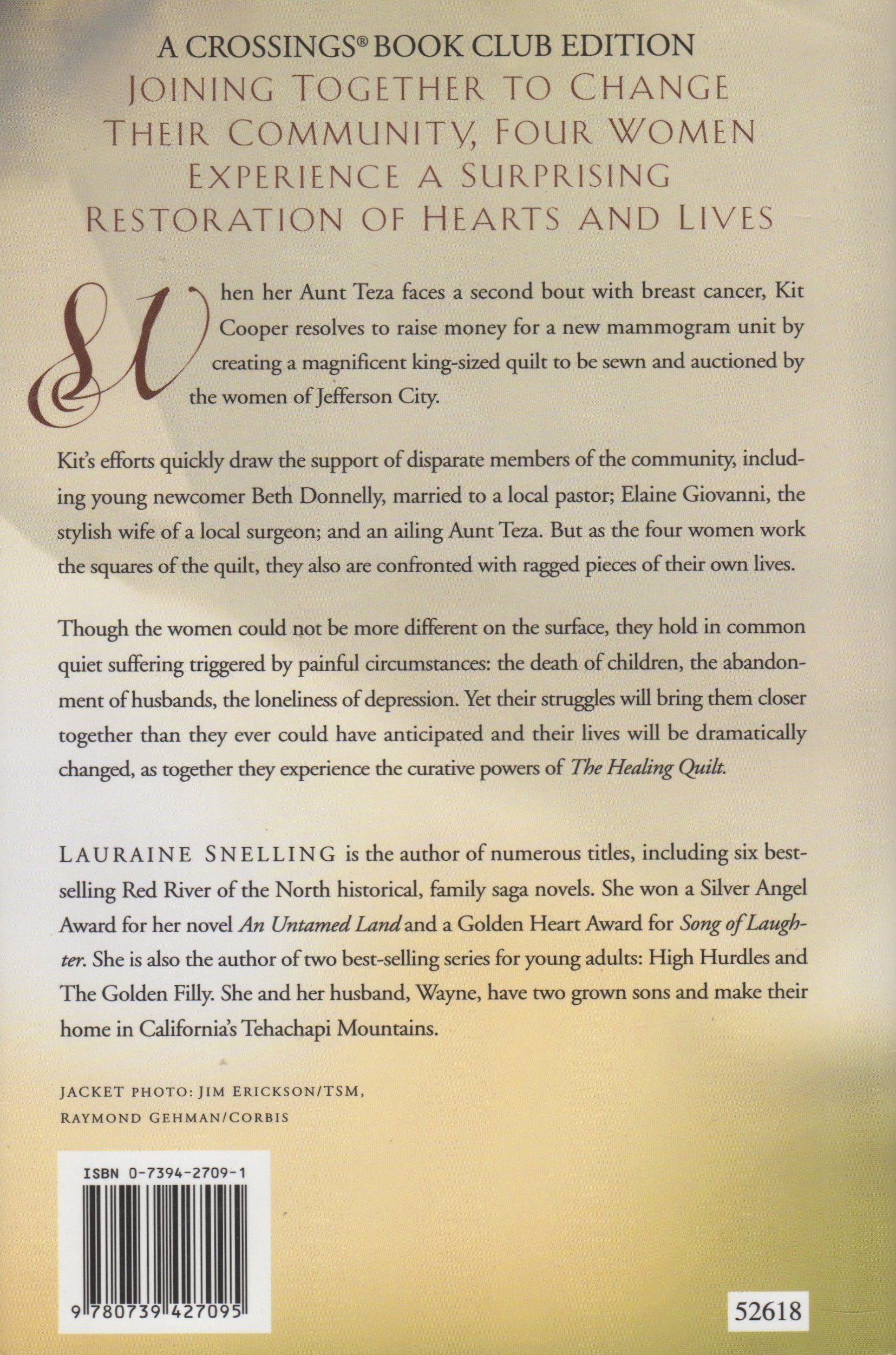 The Healing Quilt used book depot