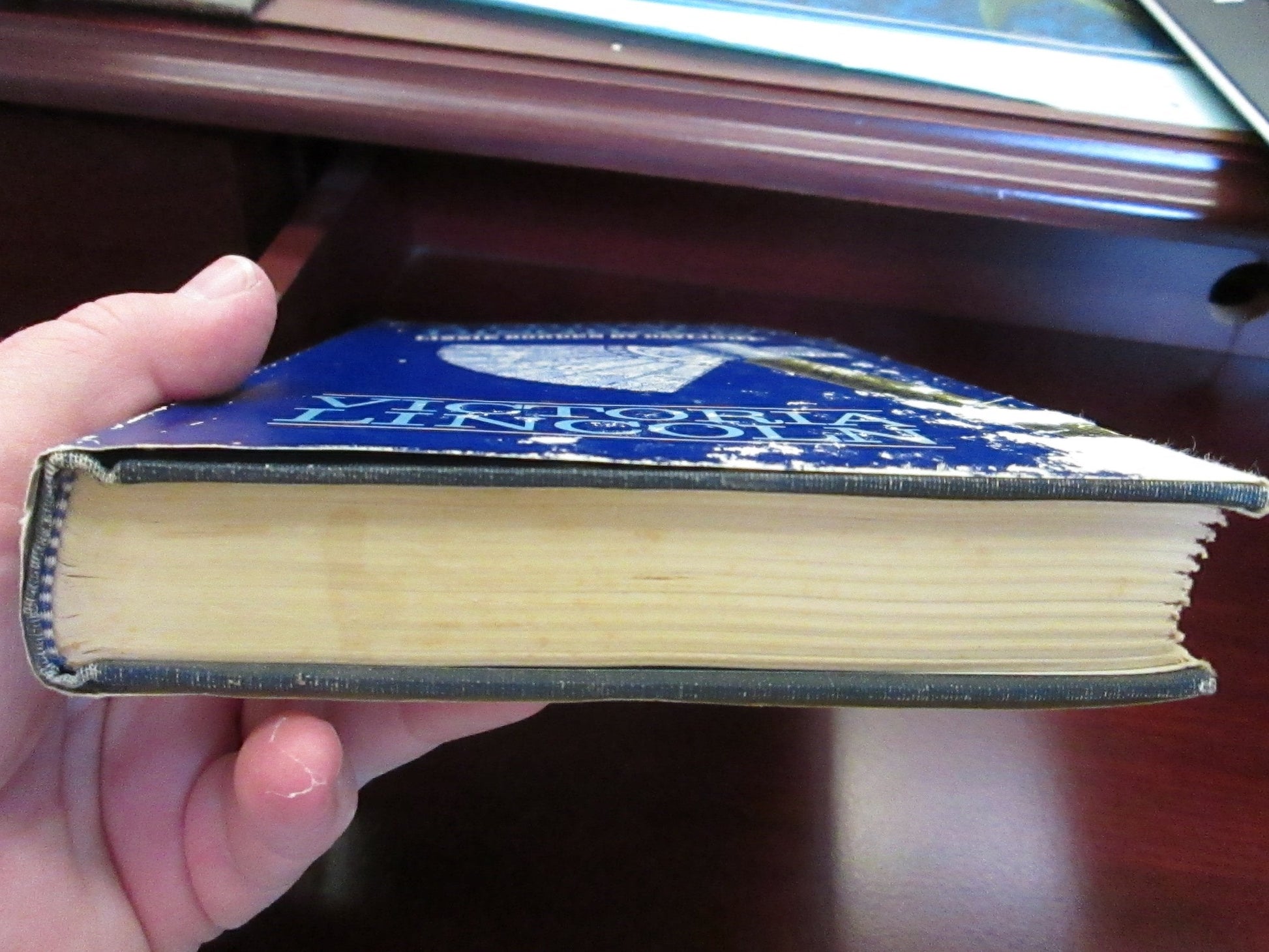 A Private Disgrace: Lizzie Borden by Daylight used book depot