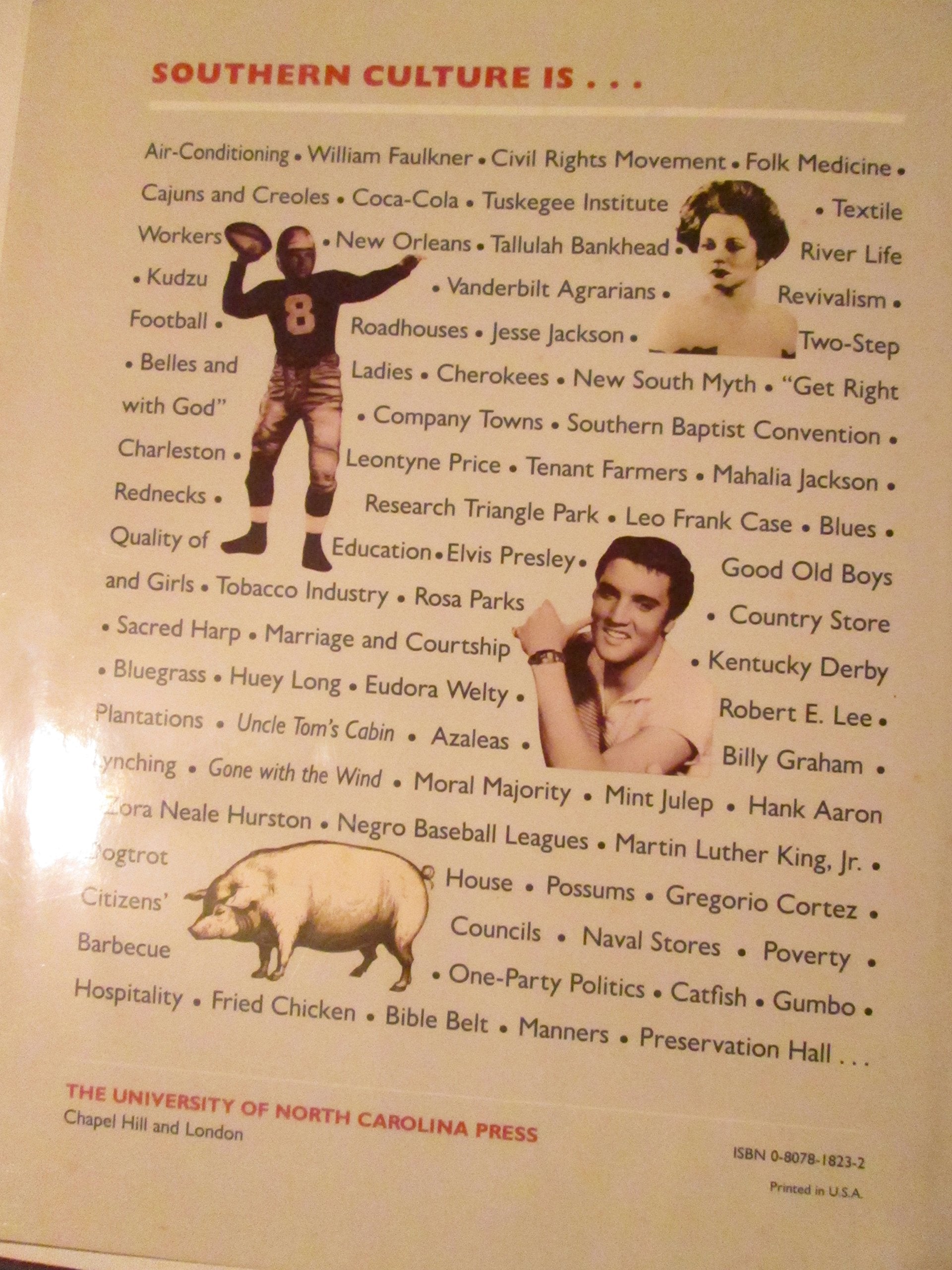 Encyclopedia of Southern Culture used book depot