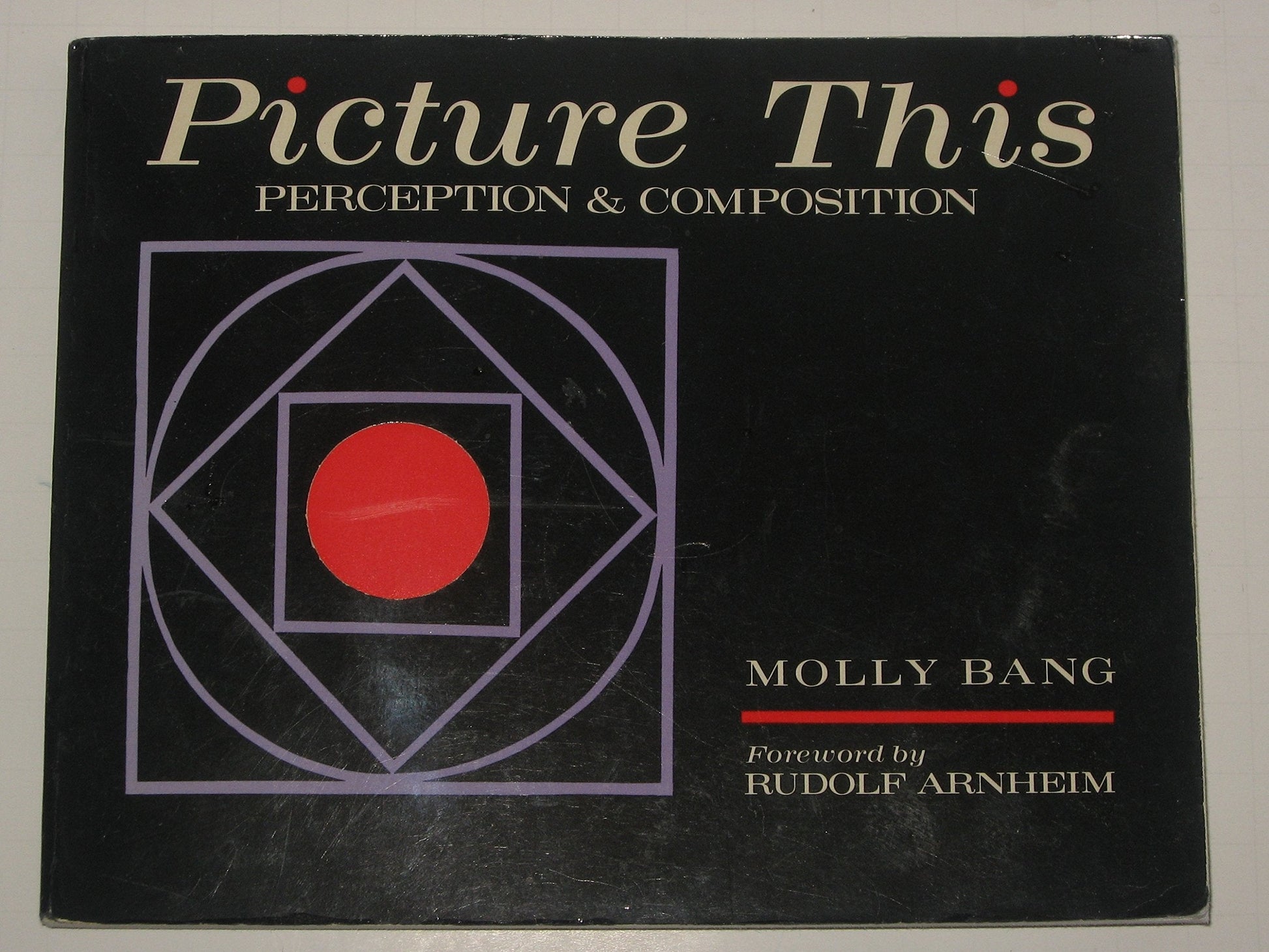 Picture This: Perception & Composition used book depot