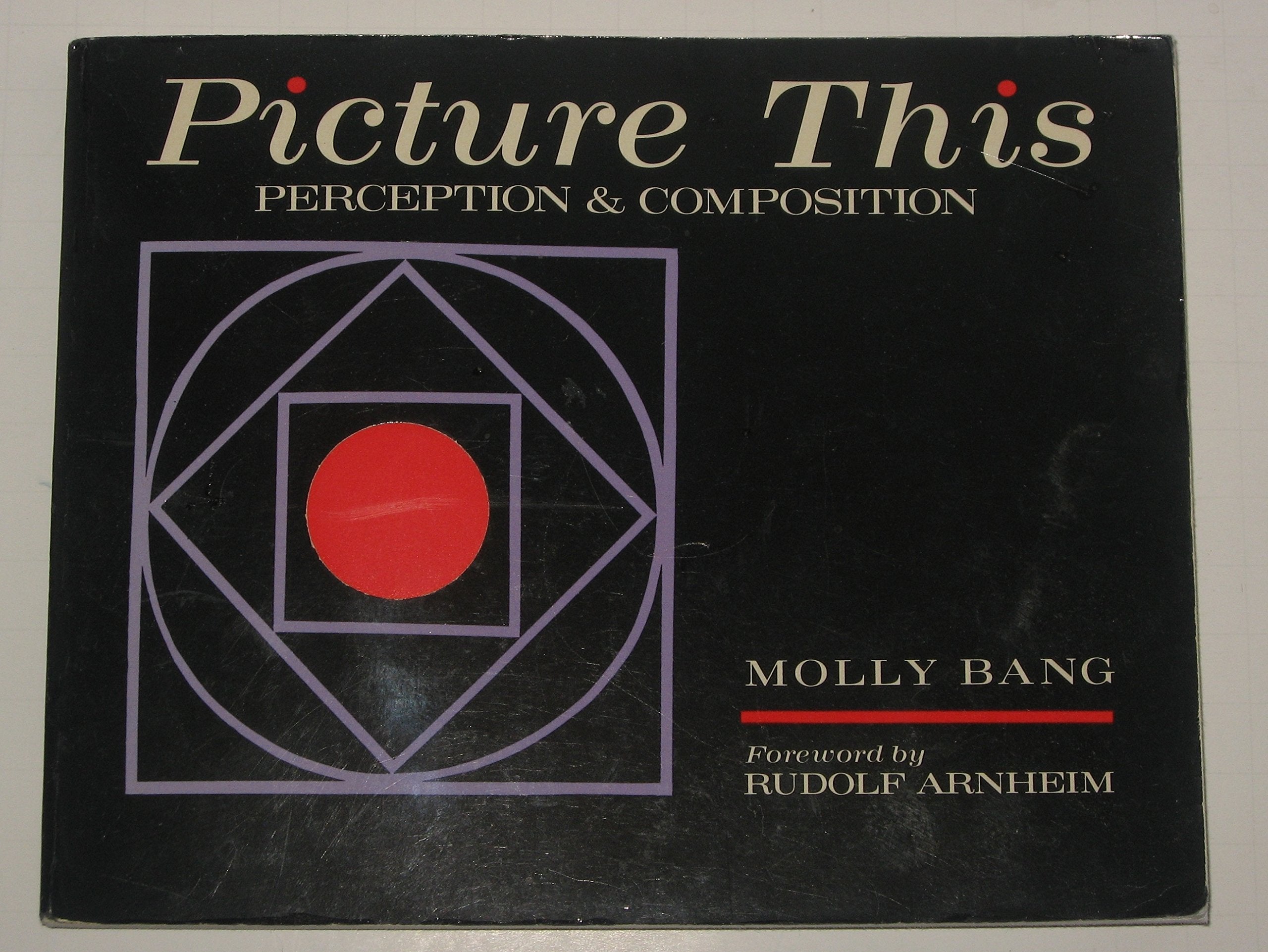 Picture This: Perception & Composition used book depot