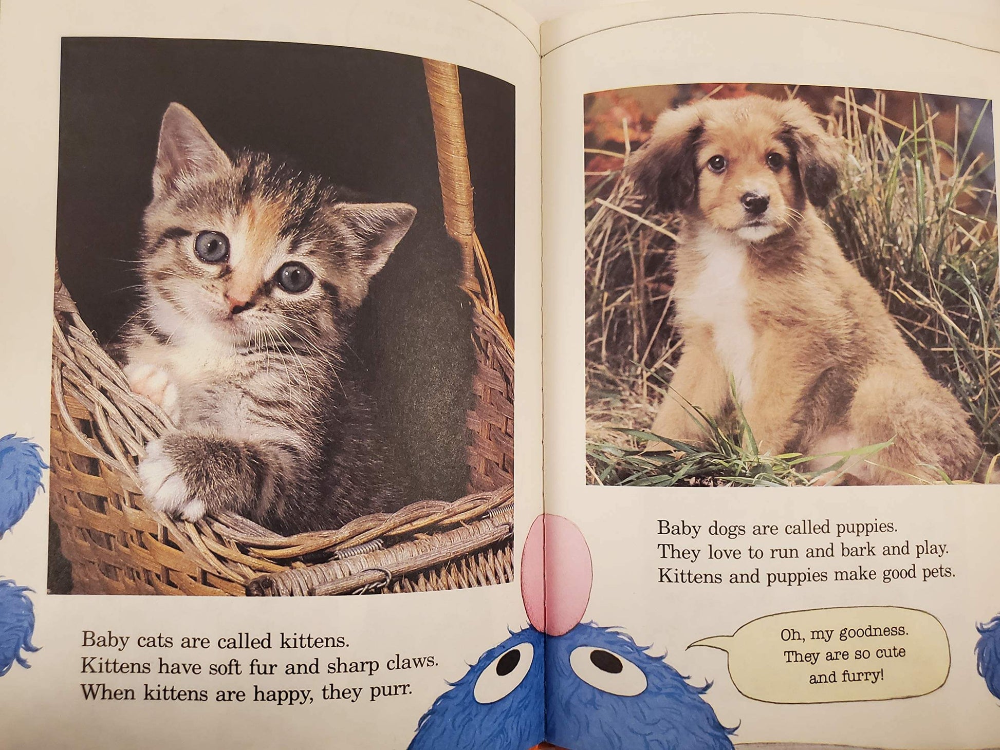 Grover's Book of Cute Little Baby Animals: Featuring Jim Henson's Sesame Street Muppets used book depot