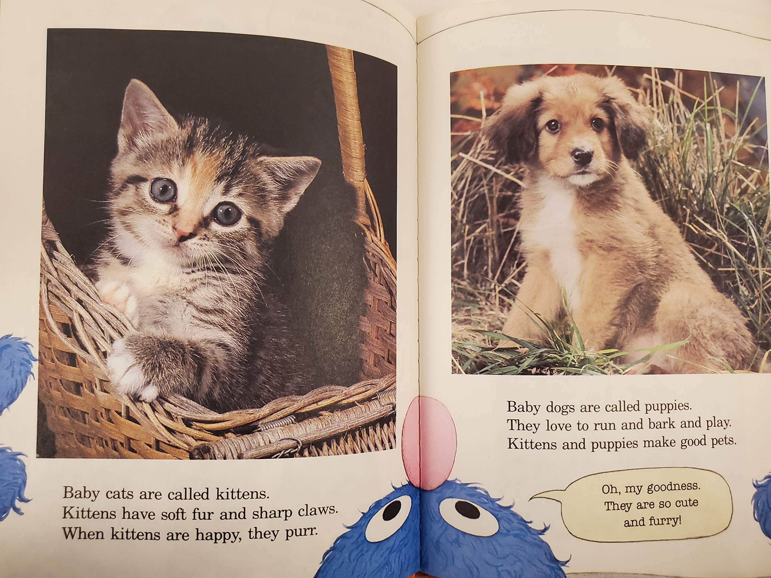 Grover's Book of Cute Little Baby Animals: Featuring Jim Henson's Sesame Street Muppets used book depot