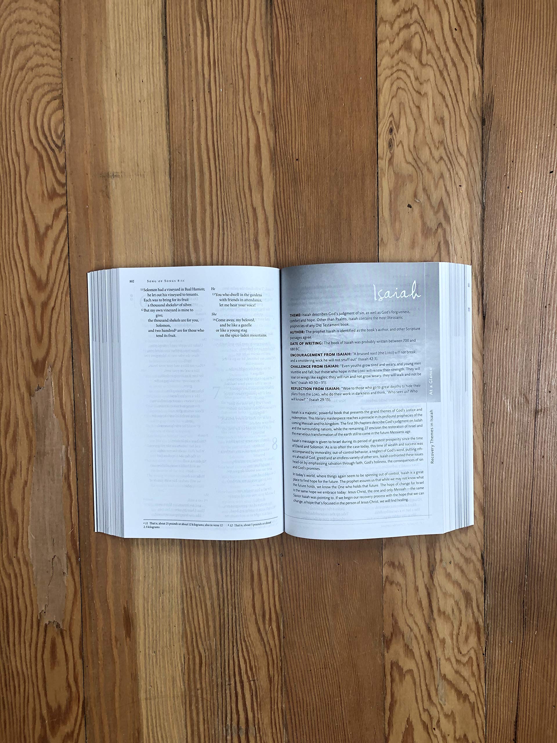 NIV, Celebrate Recovery Study Bible used book depot