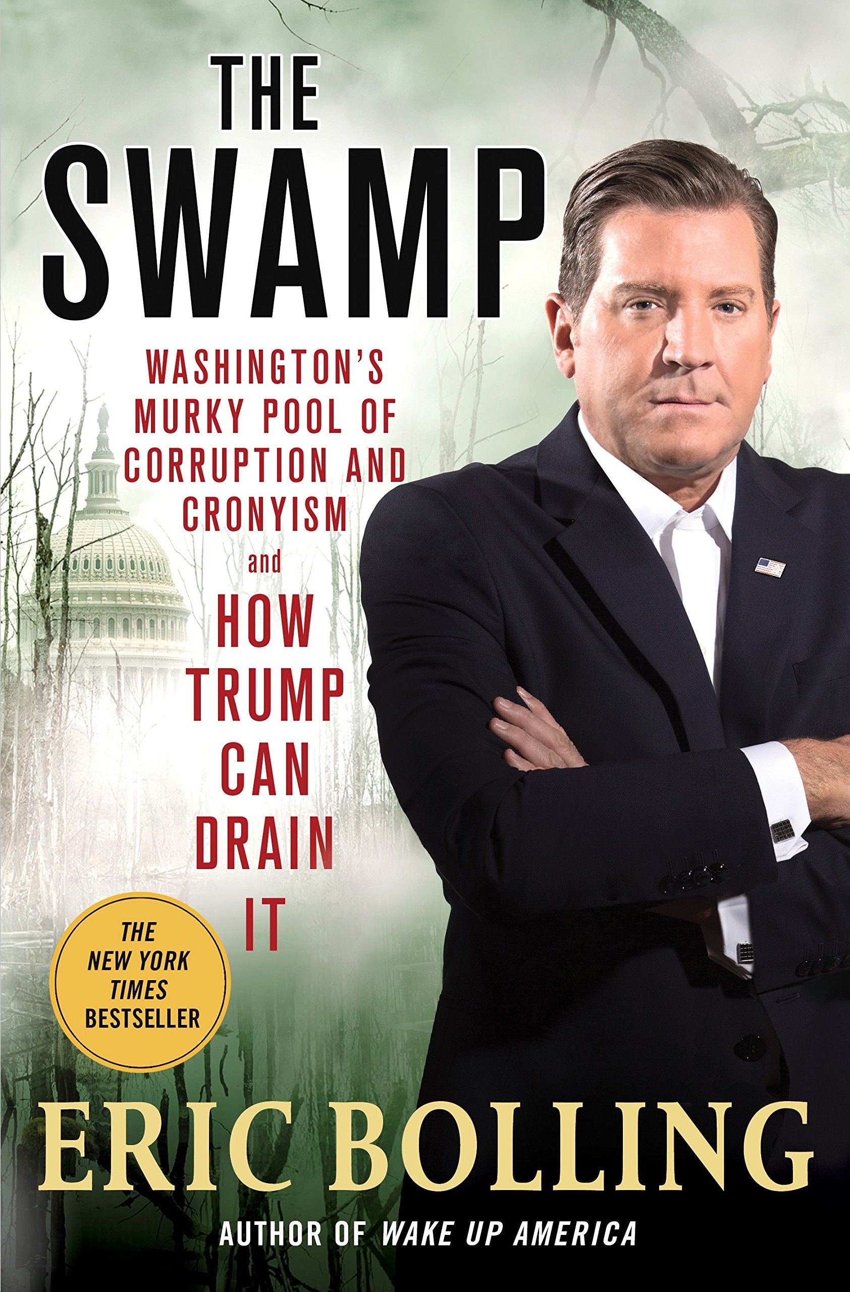 The Swamp: Washington's Murky Pool of Corruption and Cronyism and How Trump Can Drain It used book depot