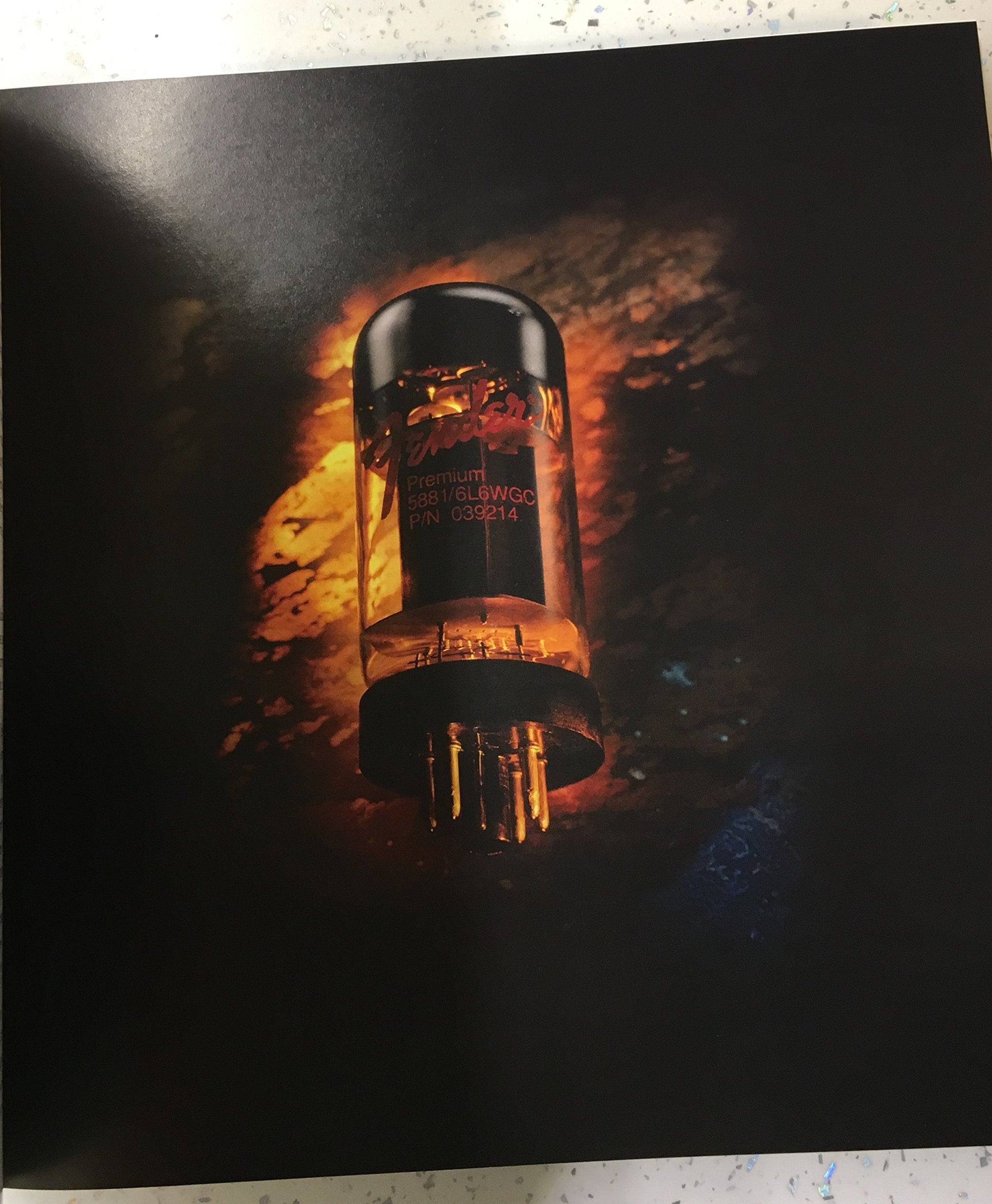 The Soul of Tone: Celebrating 60 Years of Fender Amps used book depot