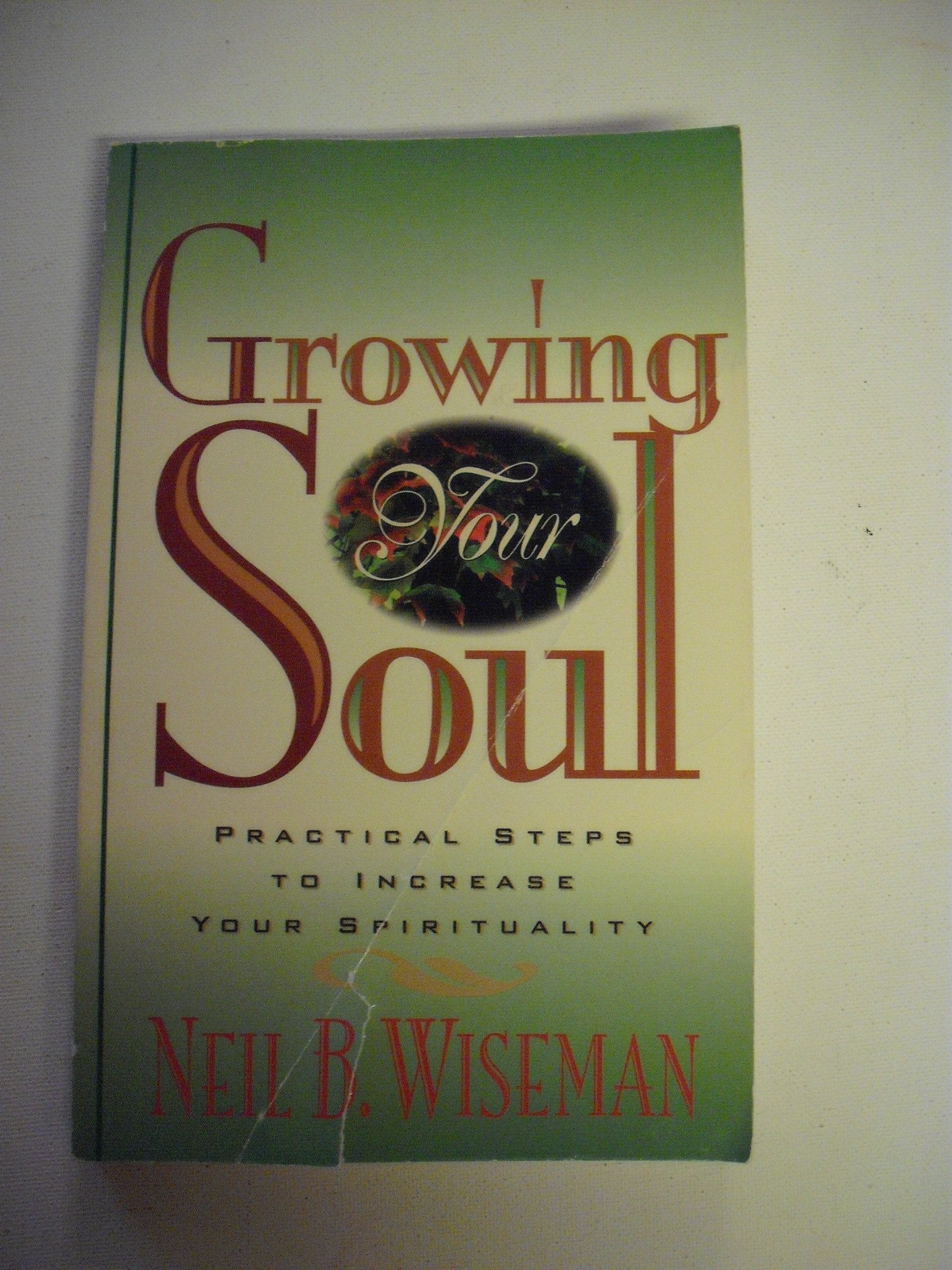 Growing Your Soul : Practical Steps to Increase Your Spirituality used book depot