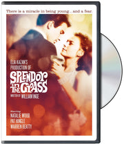 Splendor in the Grass (DVD) used book depot