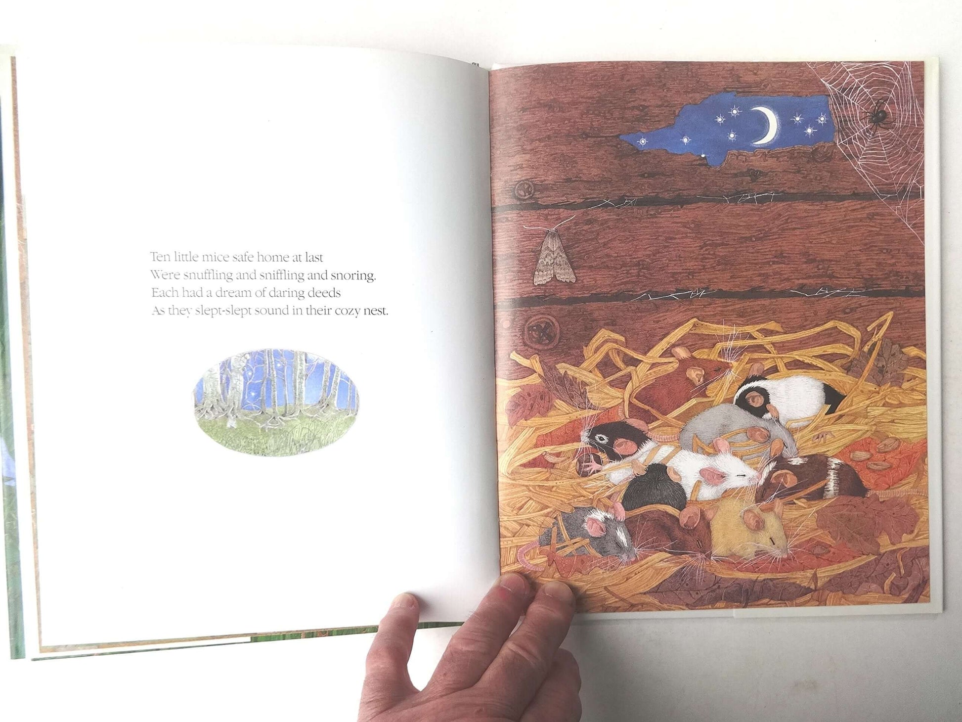 Ten Little Mice used book depot
