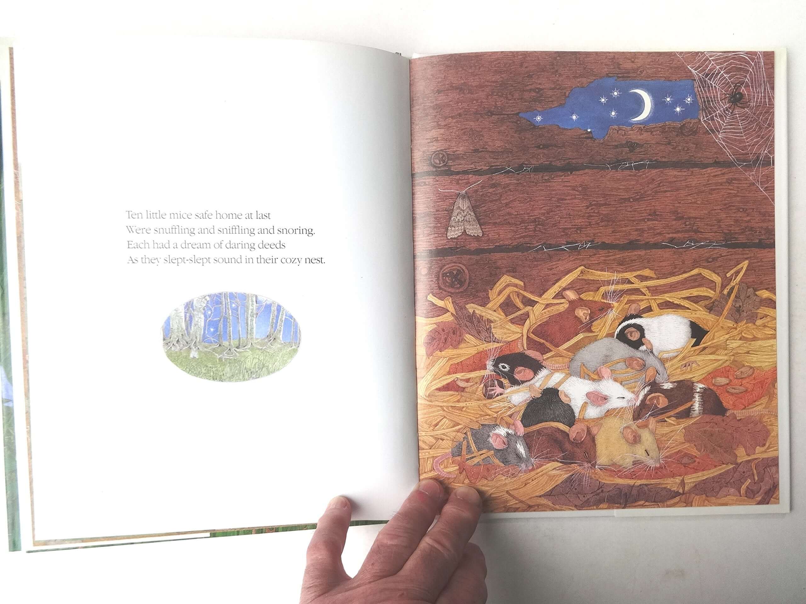 Ten Little Mice used book depot
