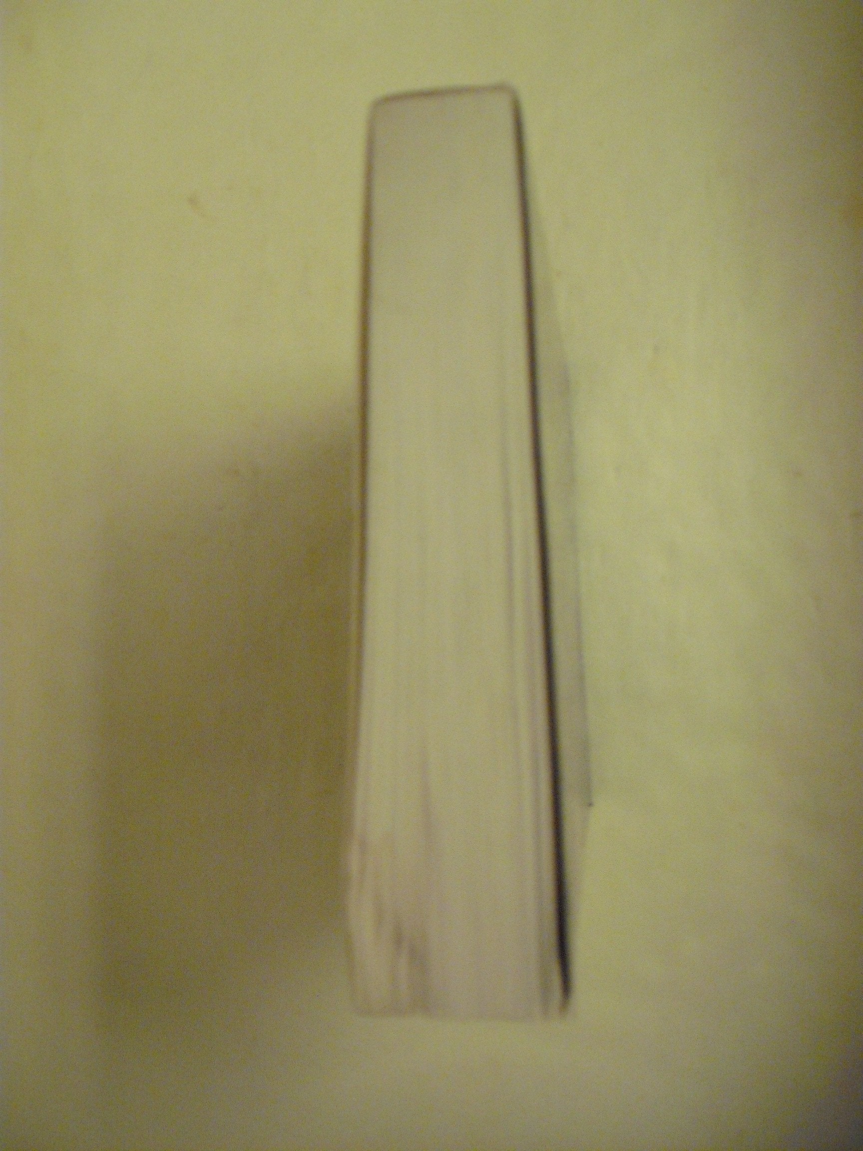The Fallen: A Novel used book depot