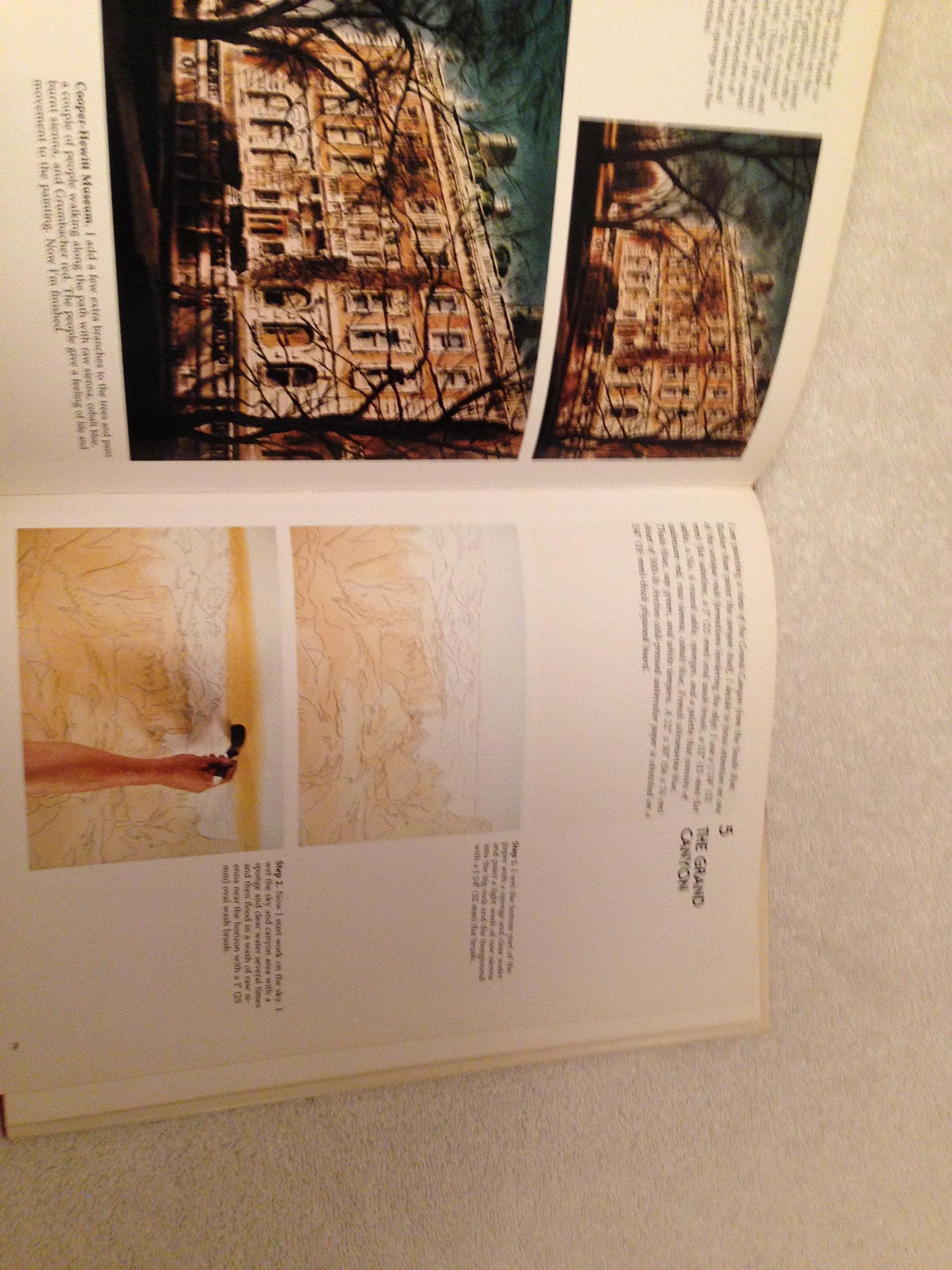 Watercolor: The Wet Technique used book depot