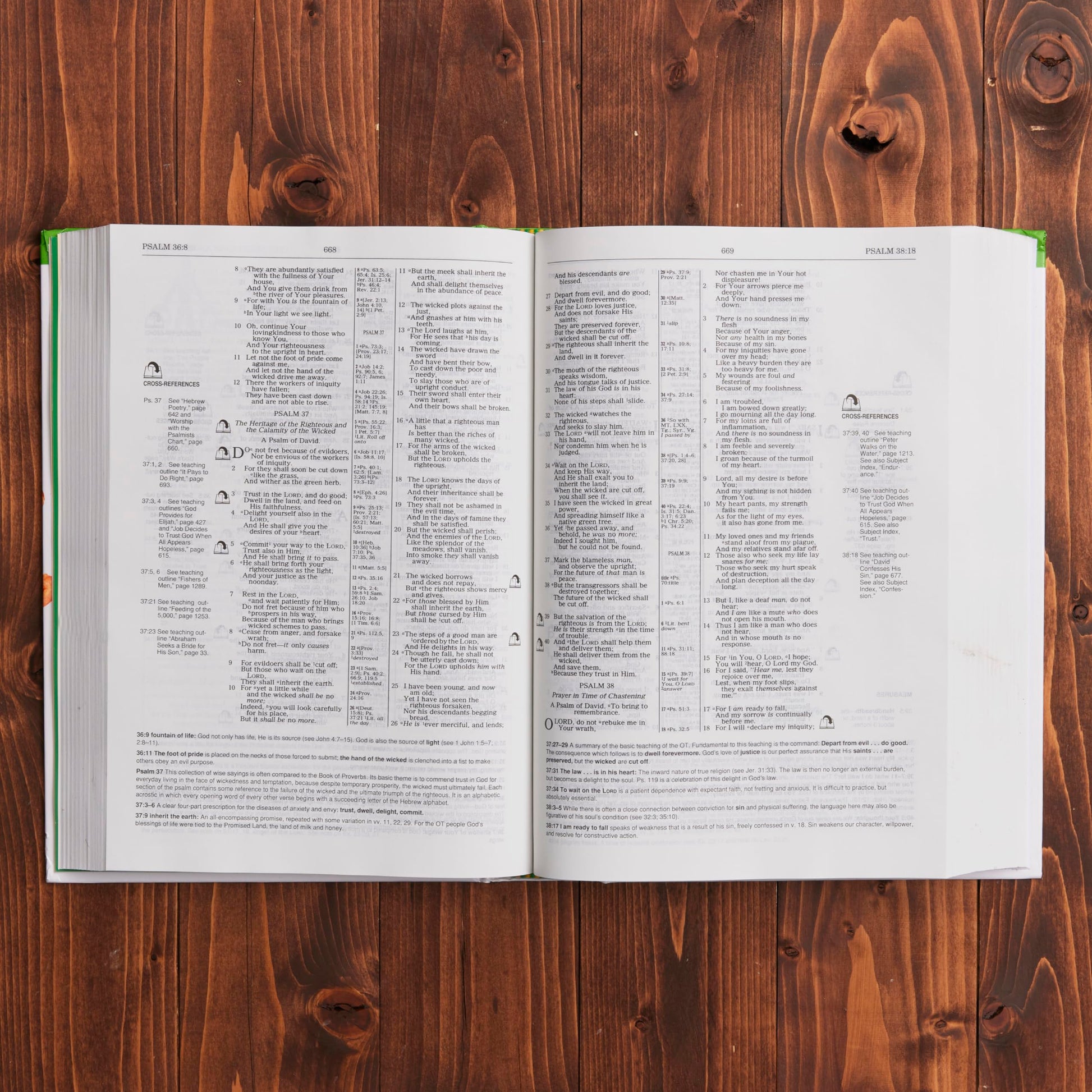 Children's Ministry Resource Bible Helping Children Grow In The Light Of God's Word used book depot