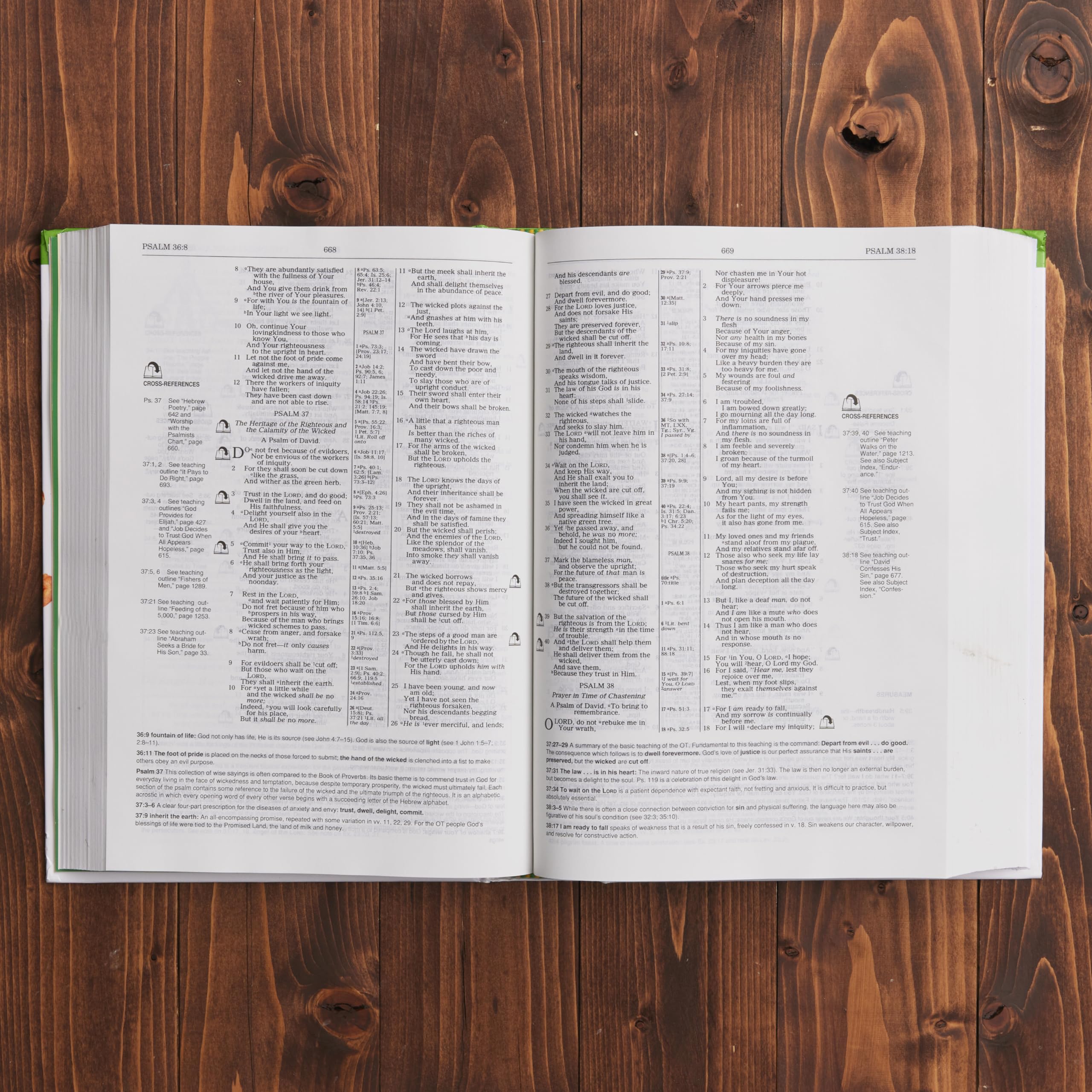 Children's Ministry Resource Bible Helping Children Grow In The Light Of God's Word used book depot