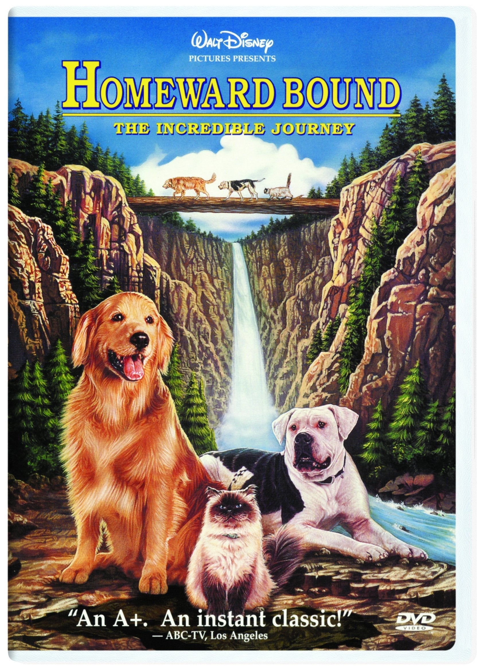 Homeward Bound - The Incredible Journey used book depot