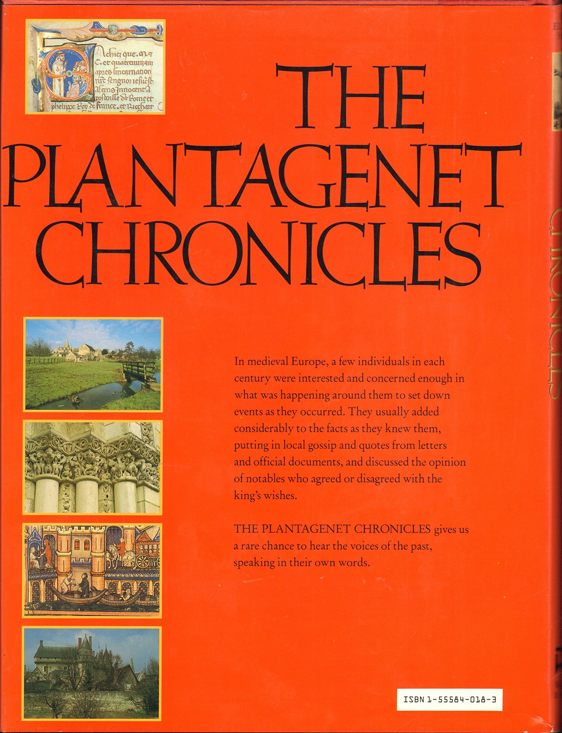 The Plantagenet Chronicles used book depot