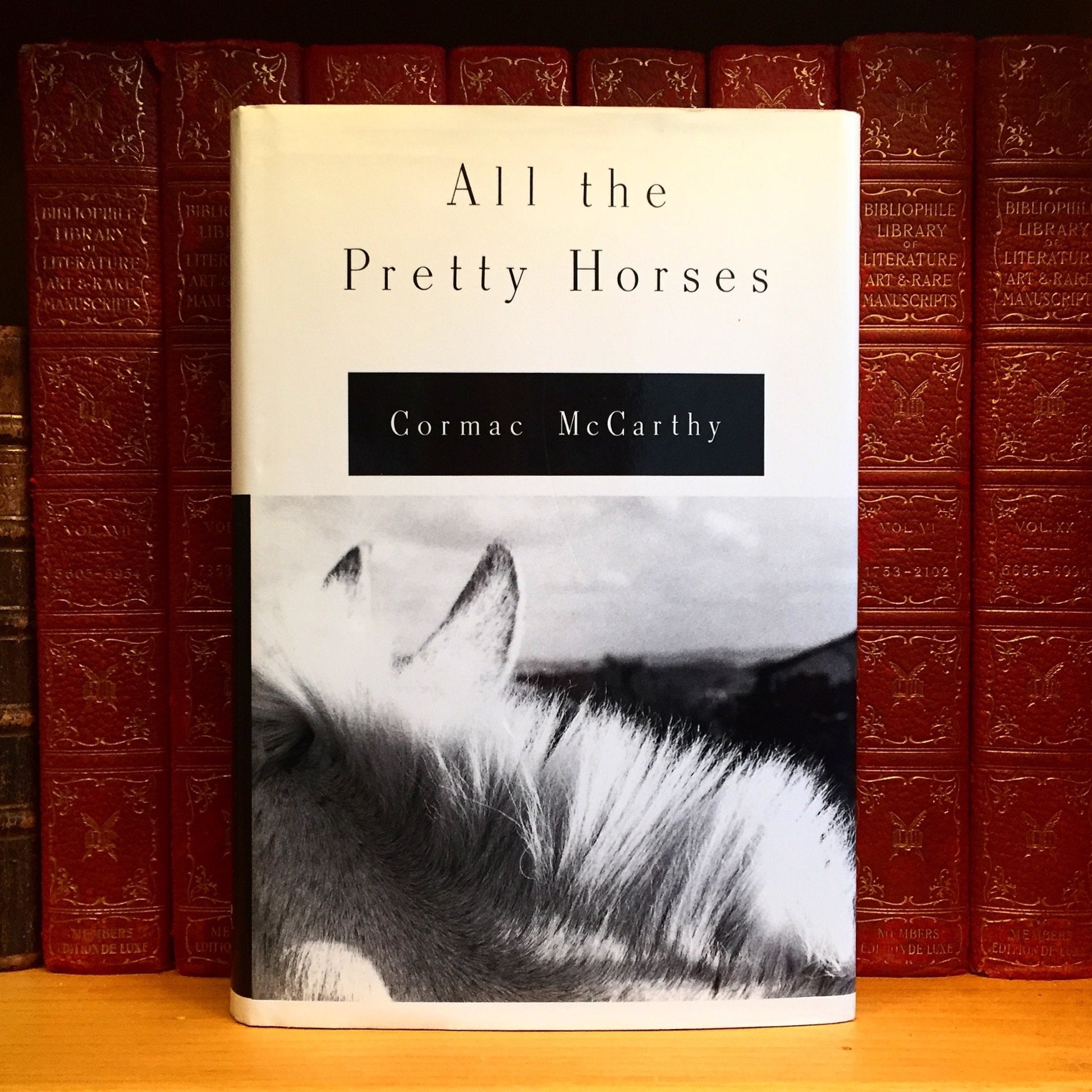 All the Pretty Horses used book depot