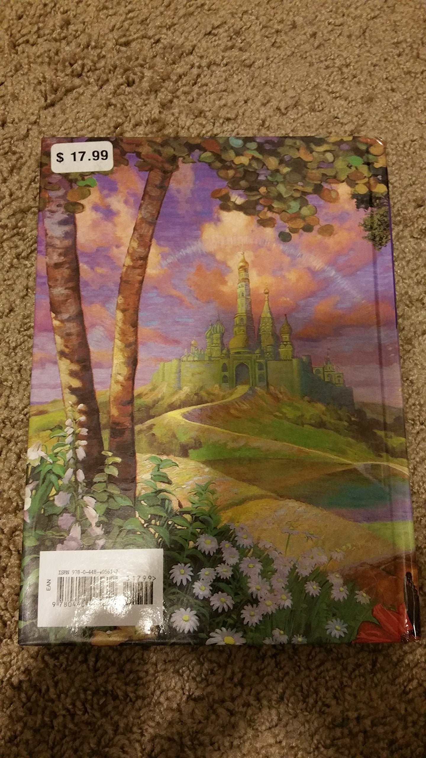 The Wizard of Oz (Illustrated Junior Library) used book depot