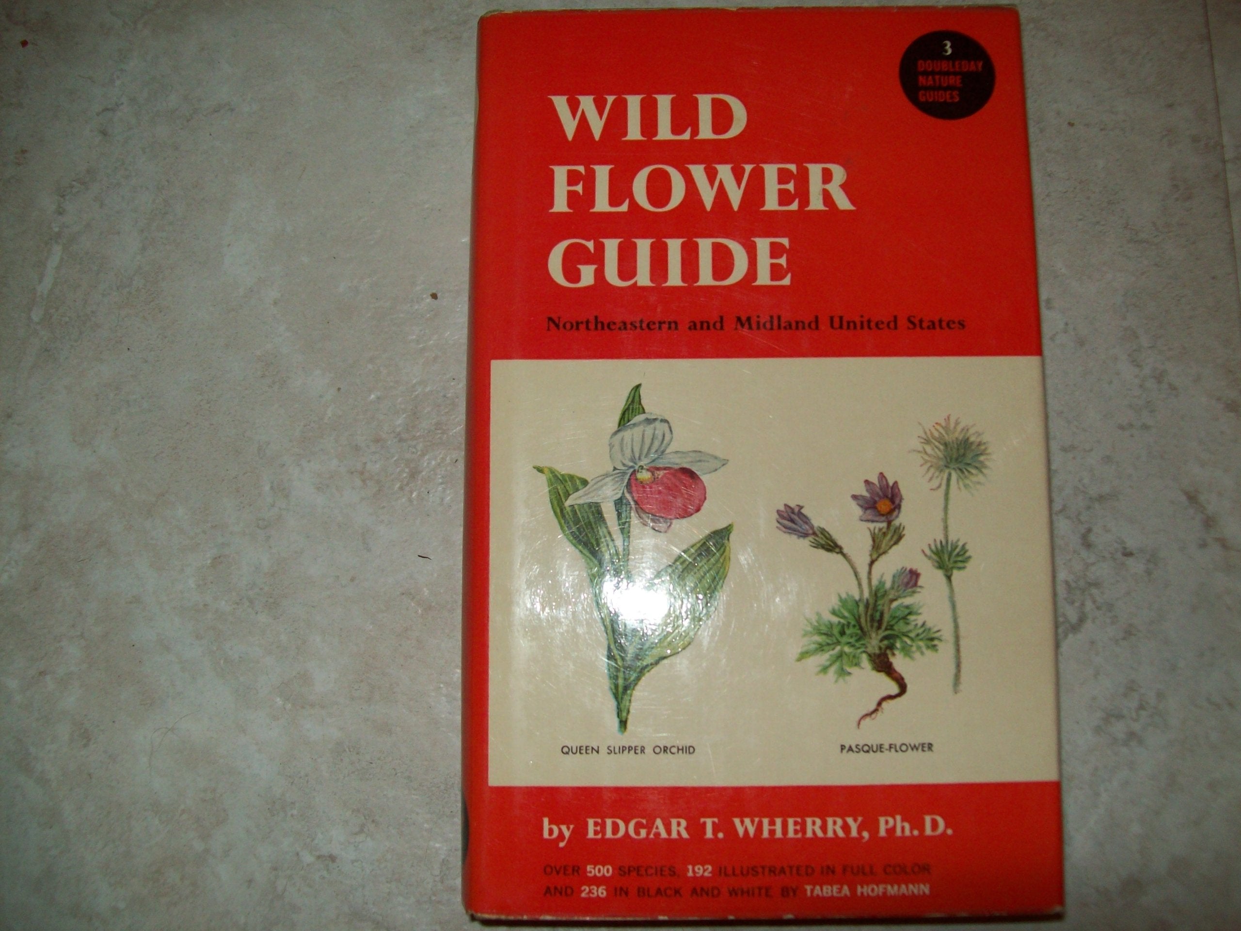 Wild Flower Guide: Northeastern and Midland United States used book depot