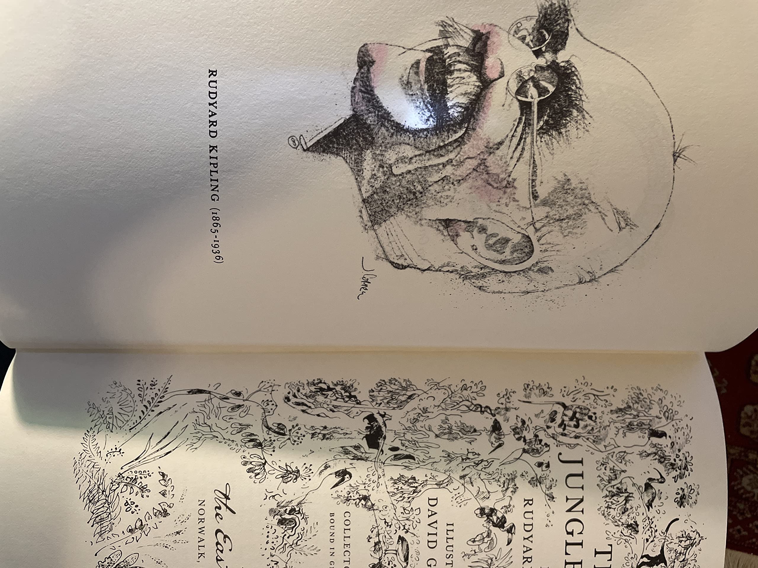 The Jungle Books used book depot