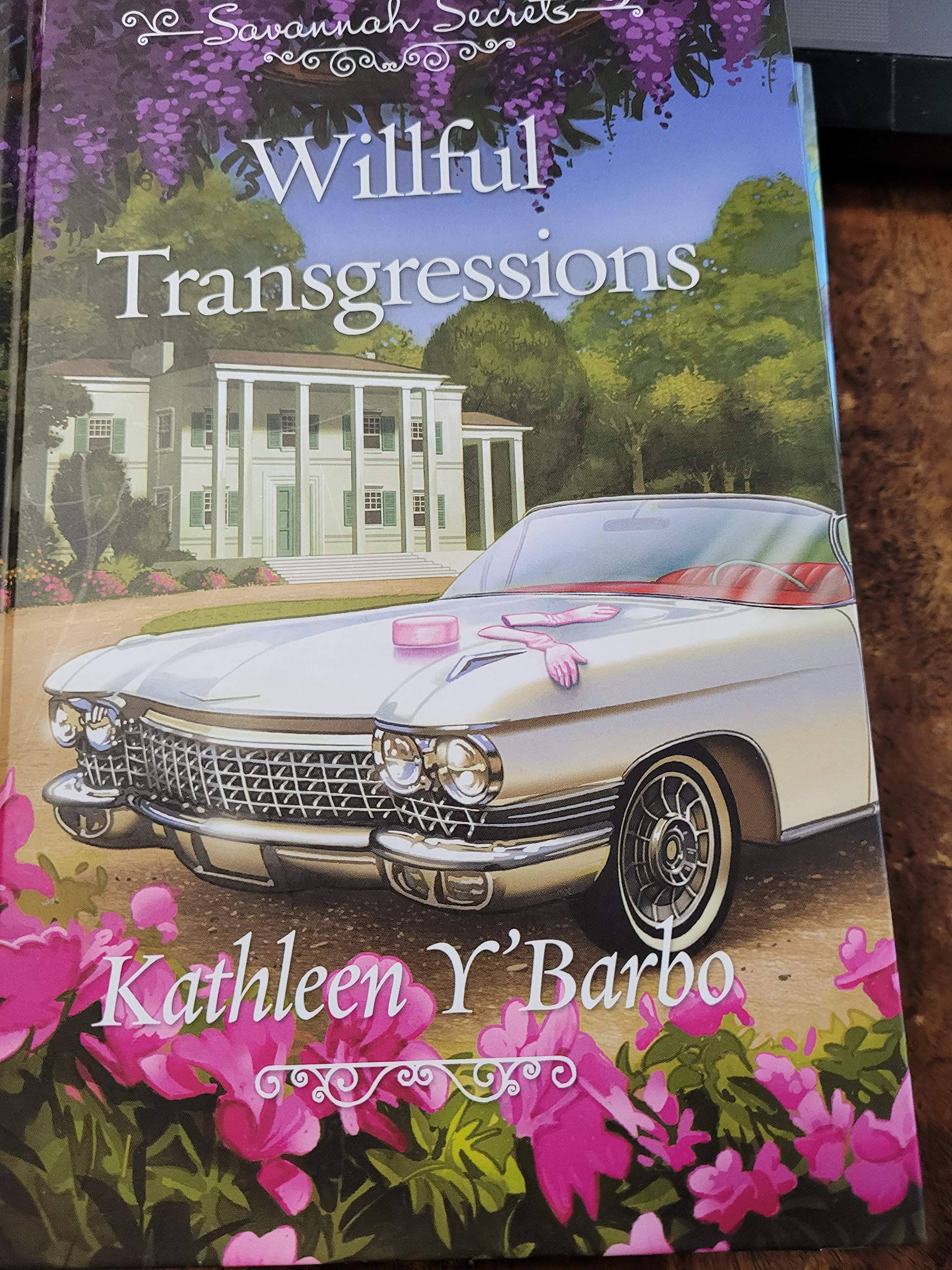 Willful Transgressions, Savannah Secrets used book depot